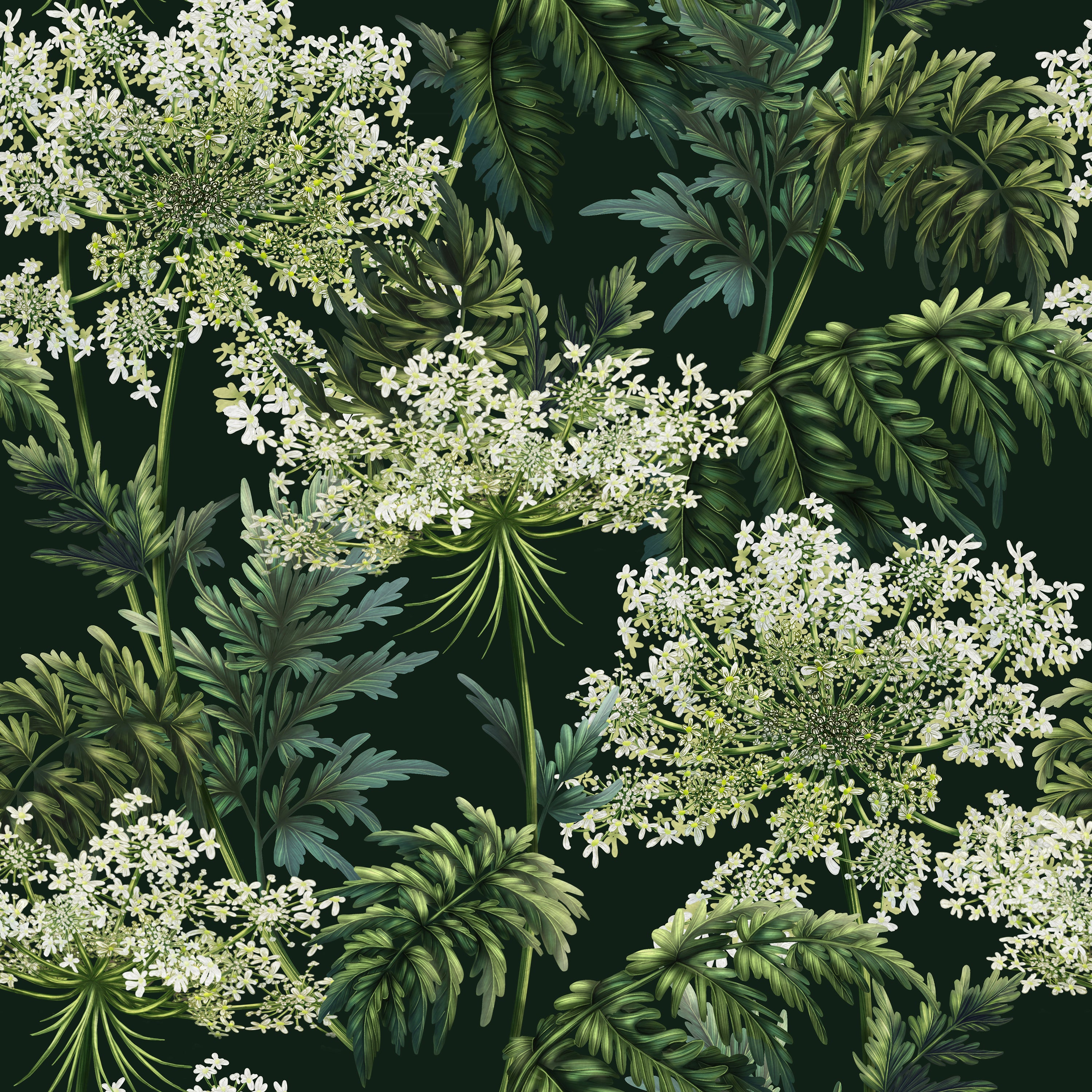 Cow Parsley | Dark Green