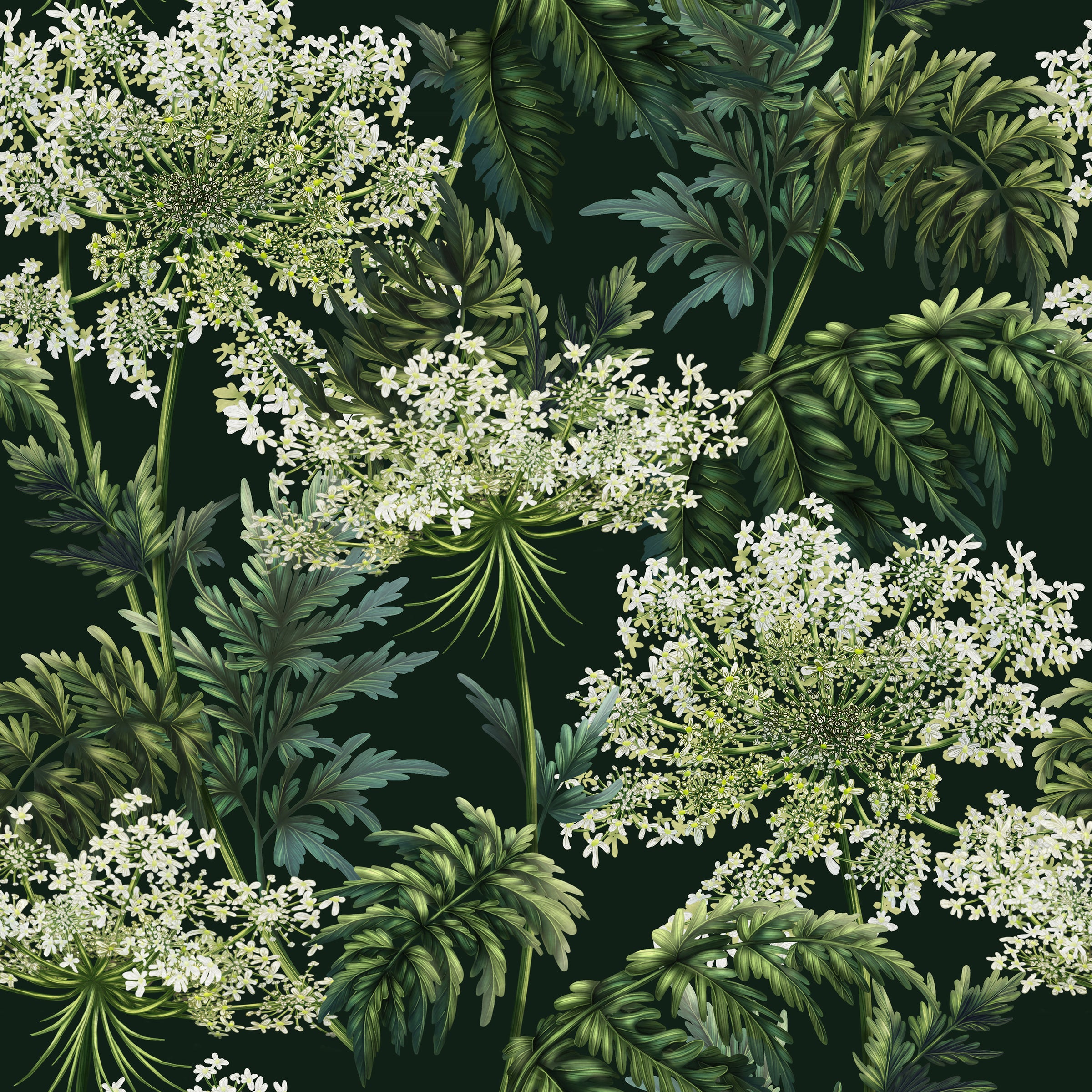 Cow Parsley | Dark Green