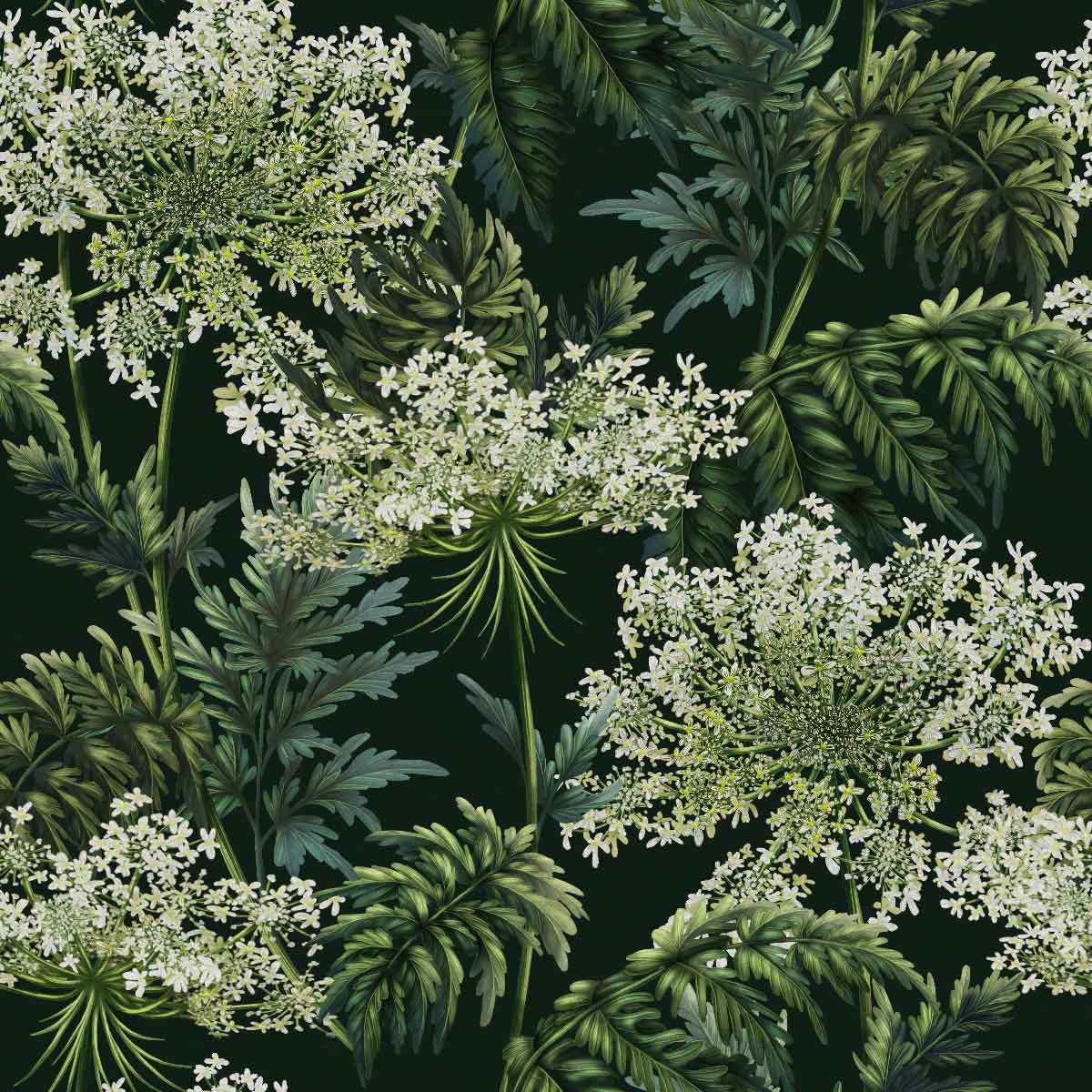 Cow Parsley | Dark Green