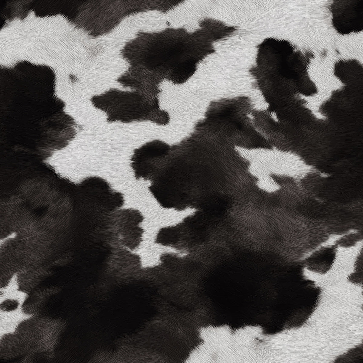 Cow Print | Black