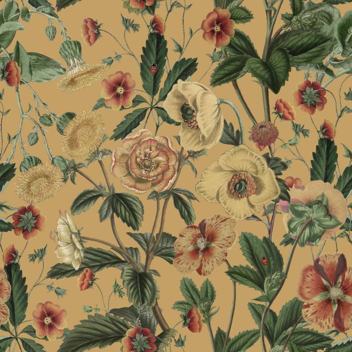 Delightful Botanical