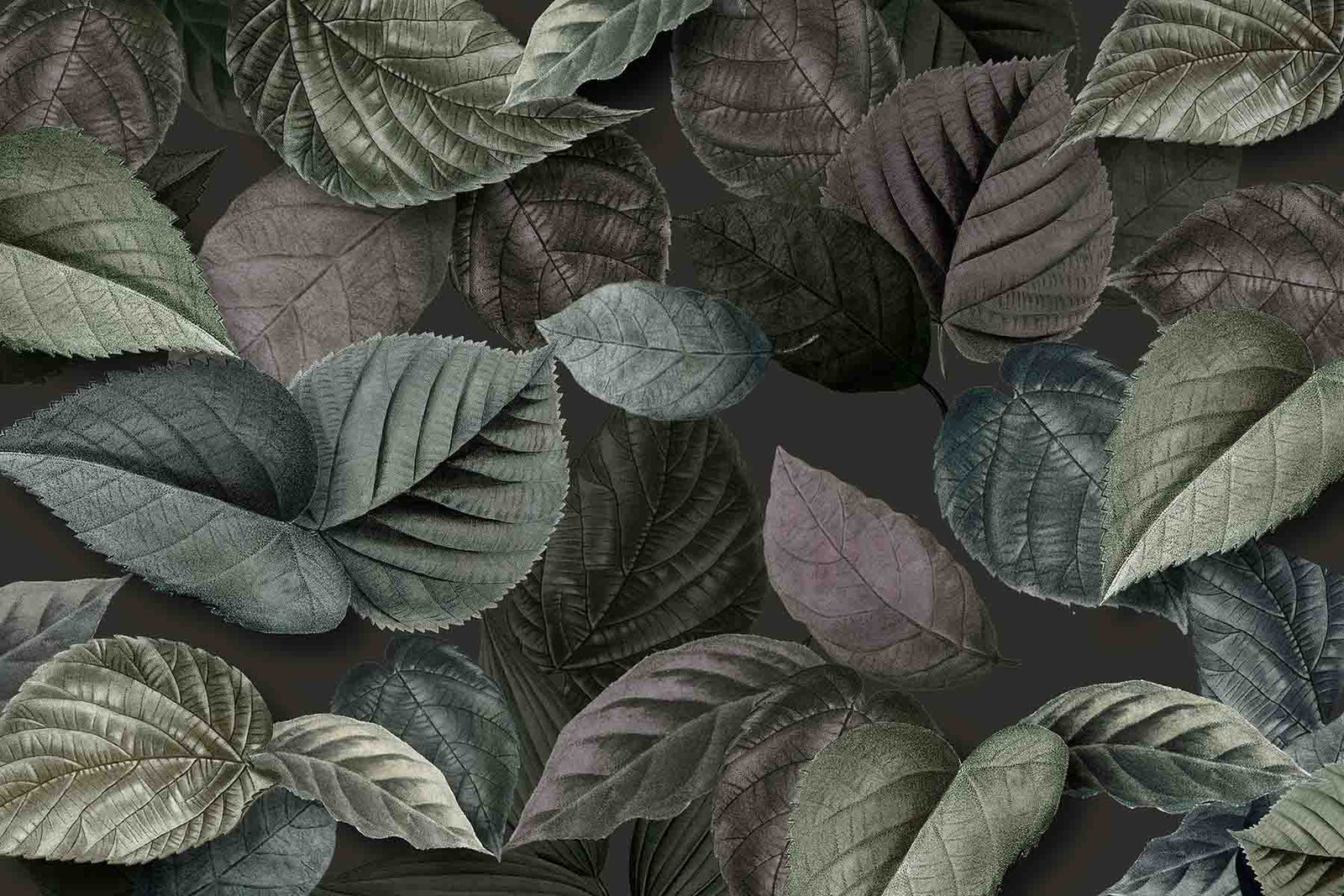 Forest Veil
