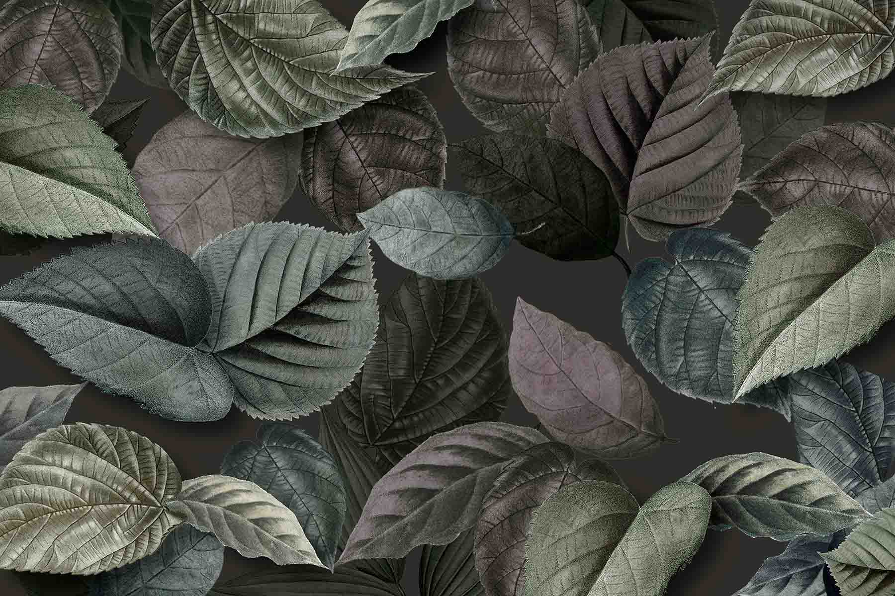 Forest Veil