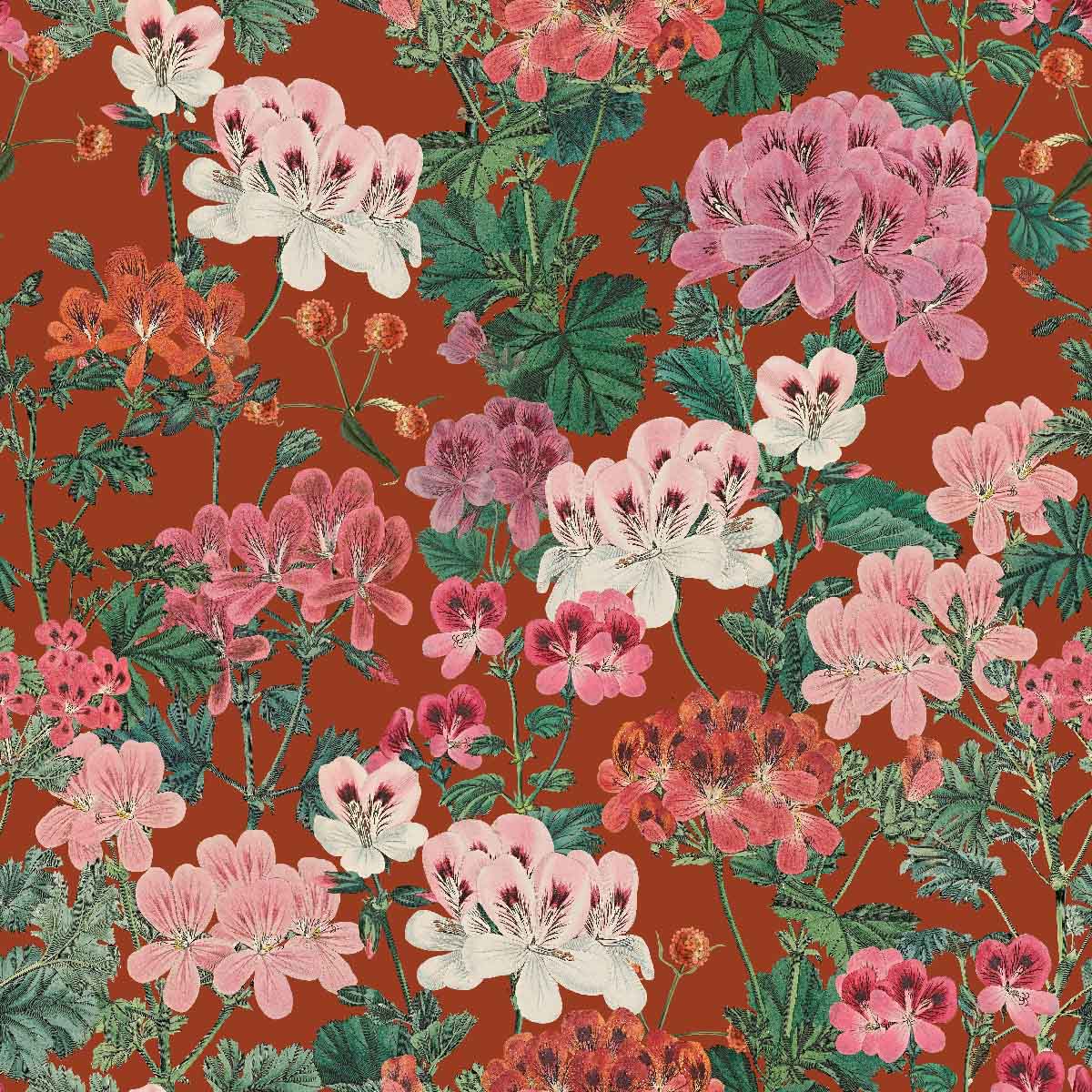 Geranium