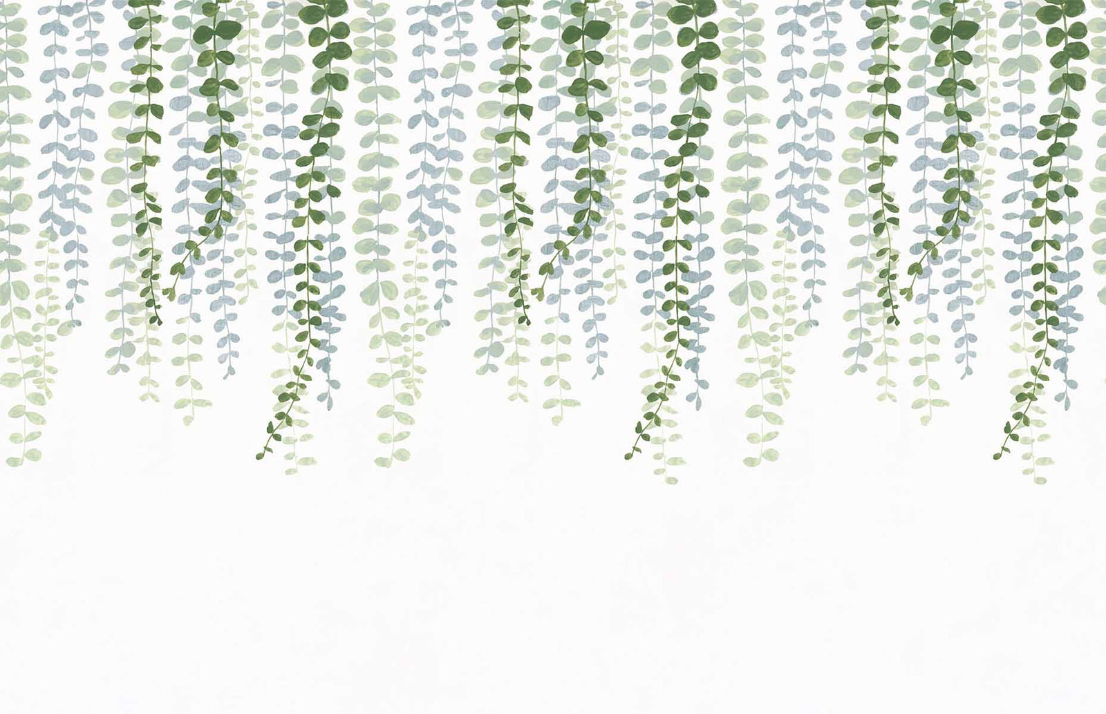 Hanging Eucalyptus Leaves