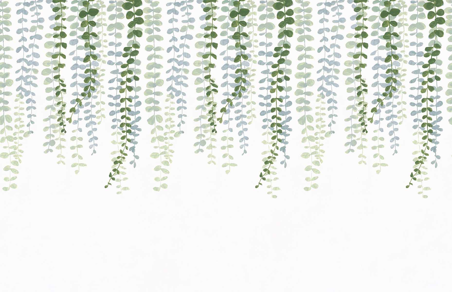 Hanging Eucalyptus Leaves