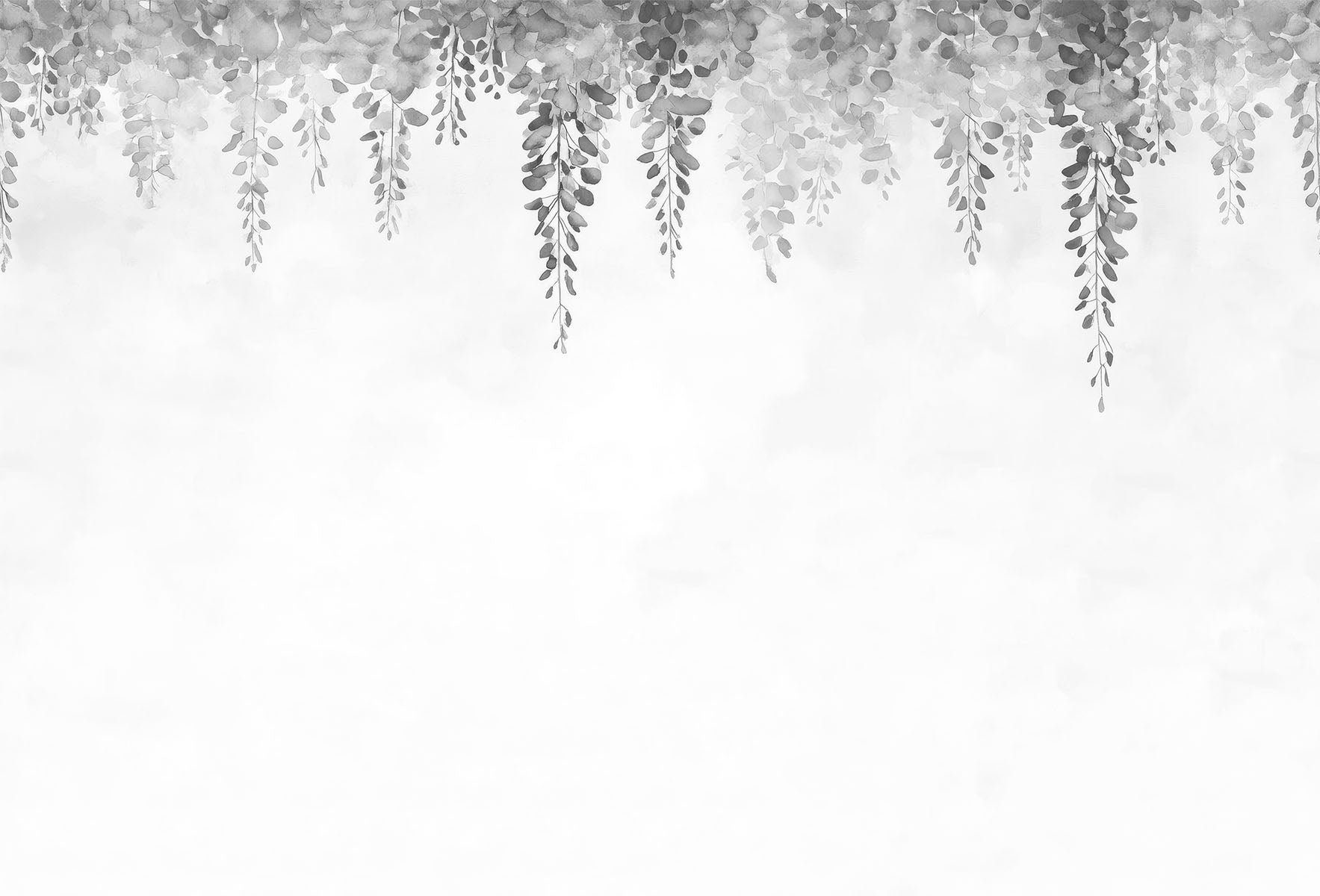 Hanging Wisteria Flowers | Gray