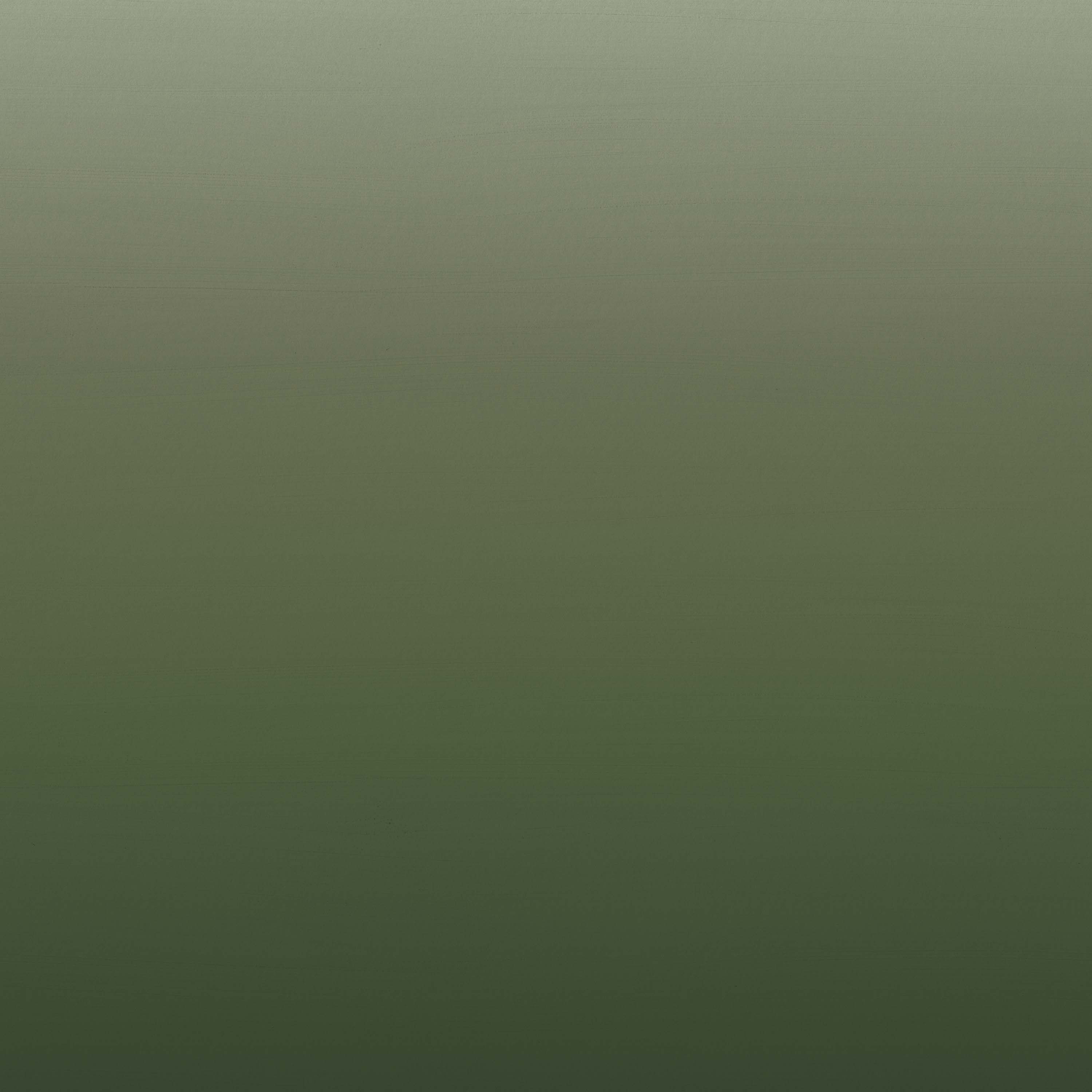 Horizon | Pine Forest