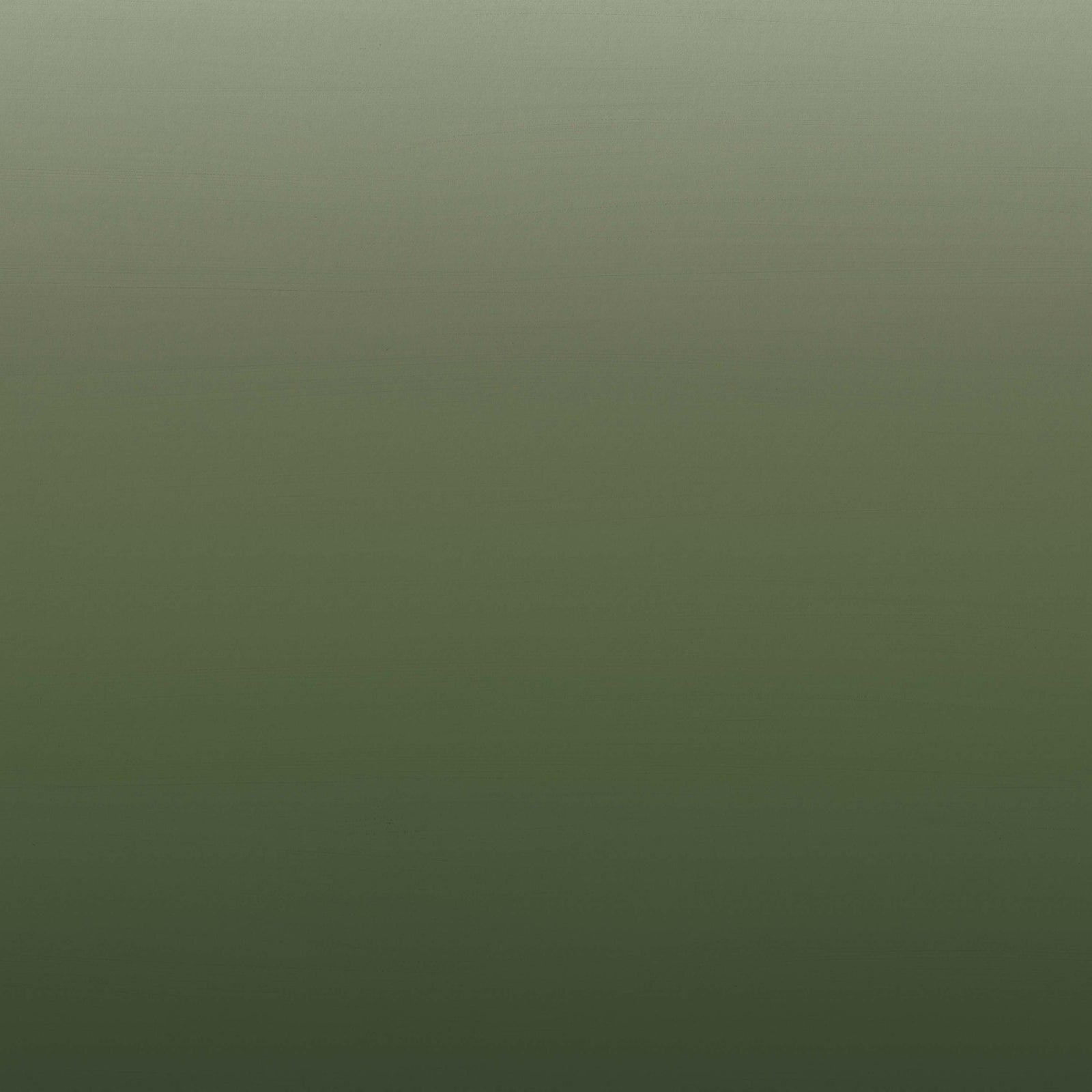 Horizon | Pine Forest