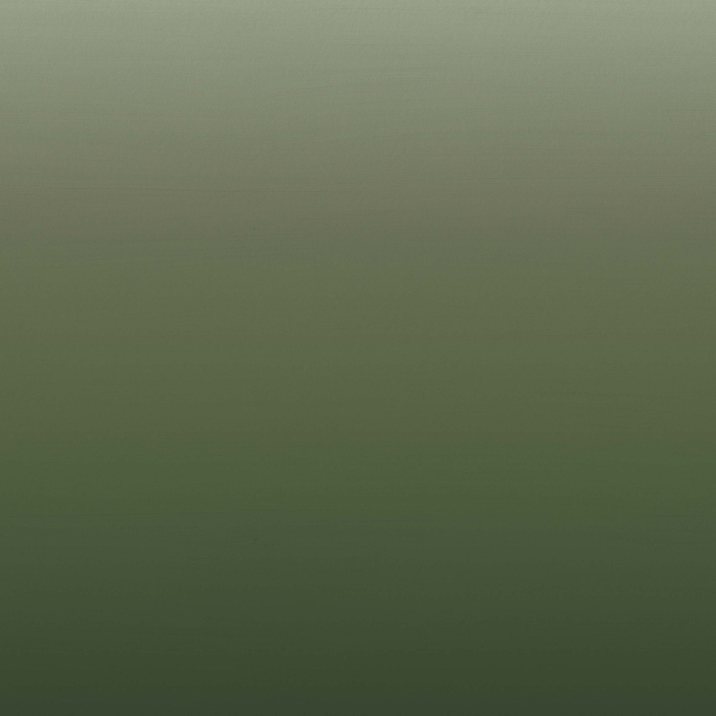 Horizon | Pine Forest
