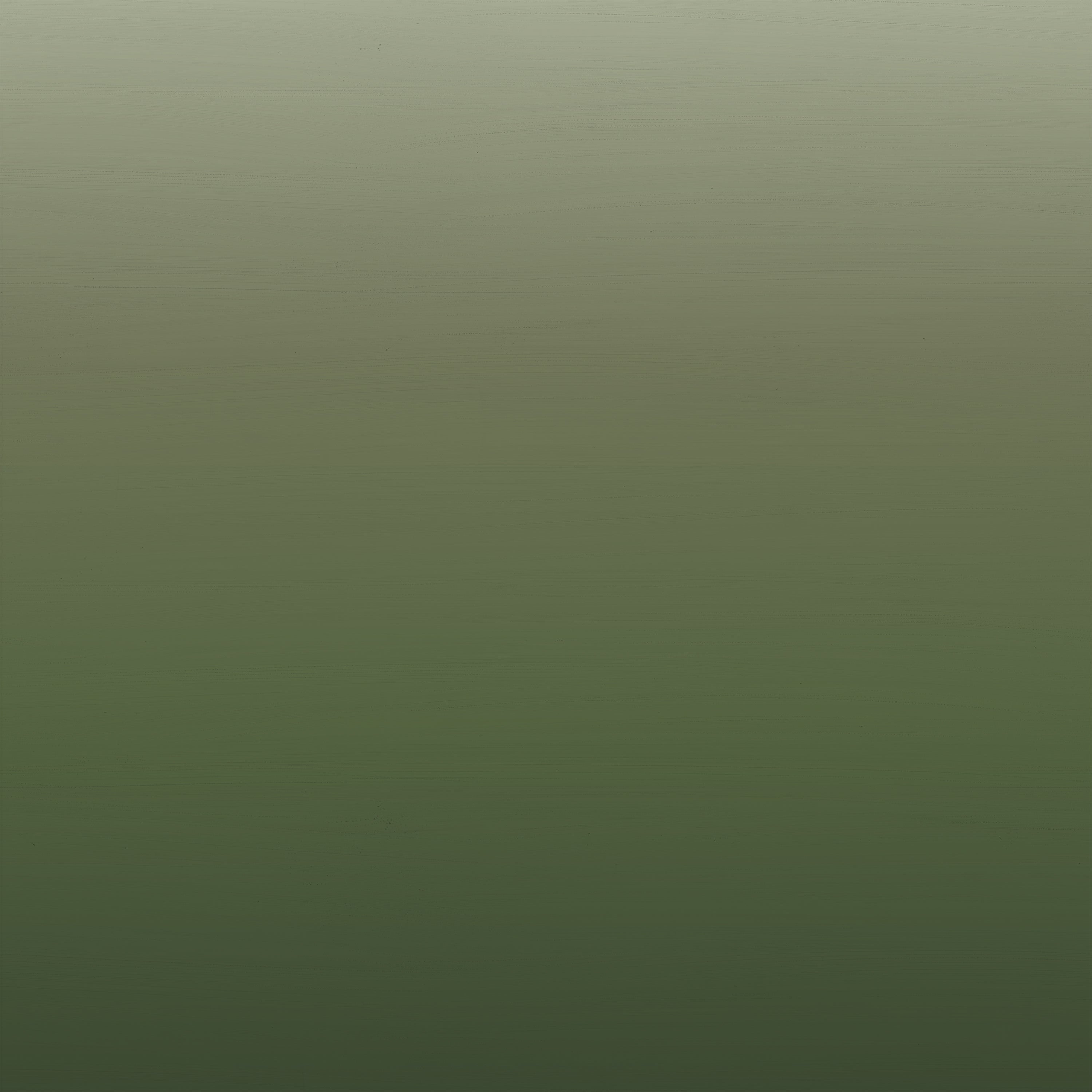 Horizon | Pine Forest