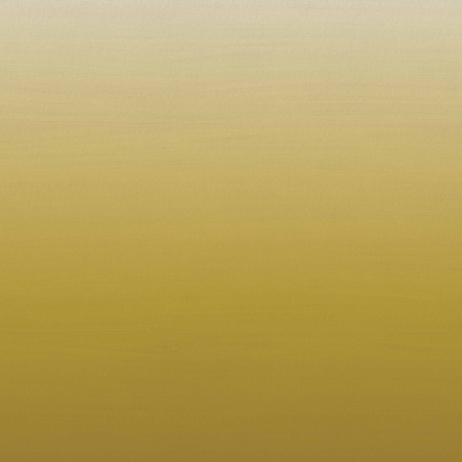 Horizon | Sunny