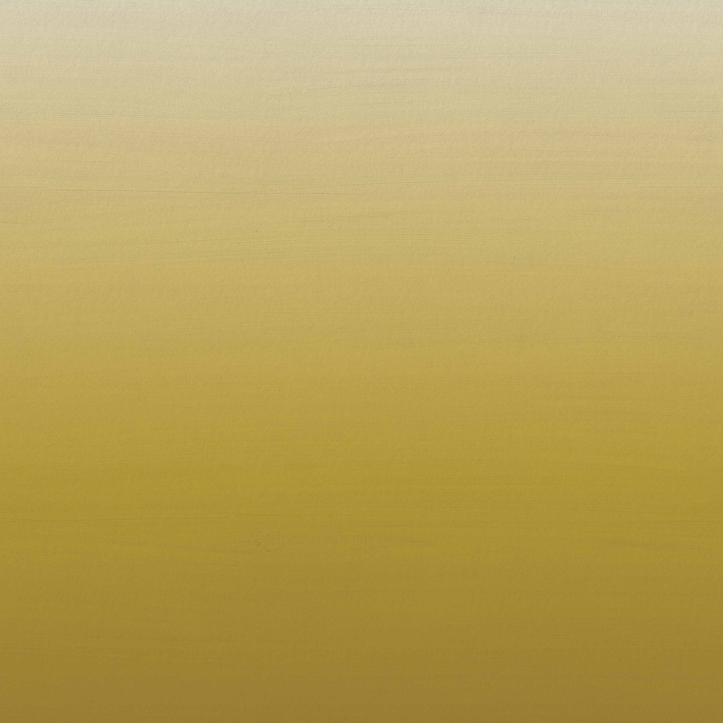 Horizon | Sunny