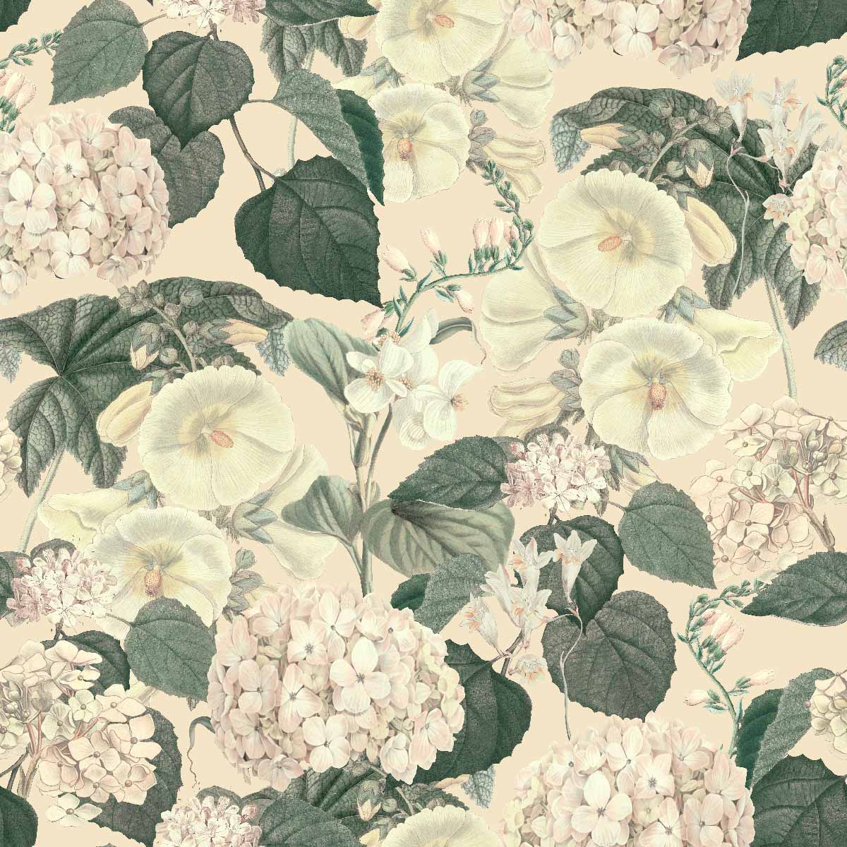 Hortensia