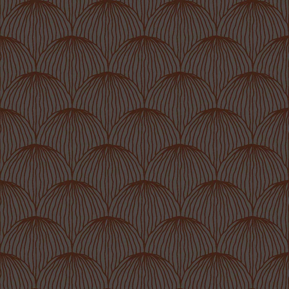 Japanese Scallop | Chocolate Brown