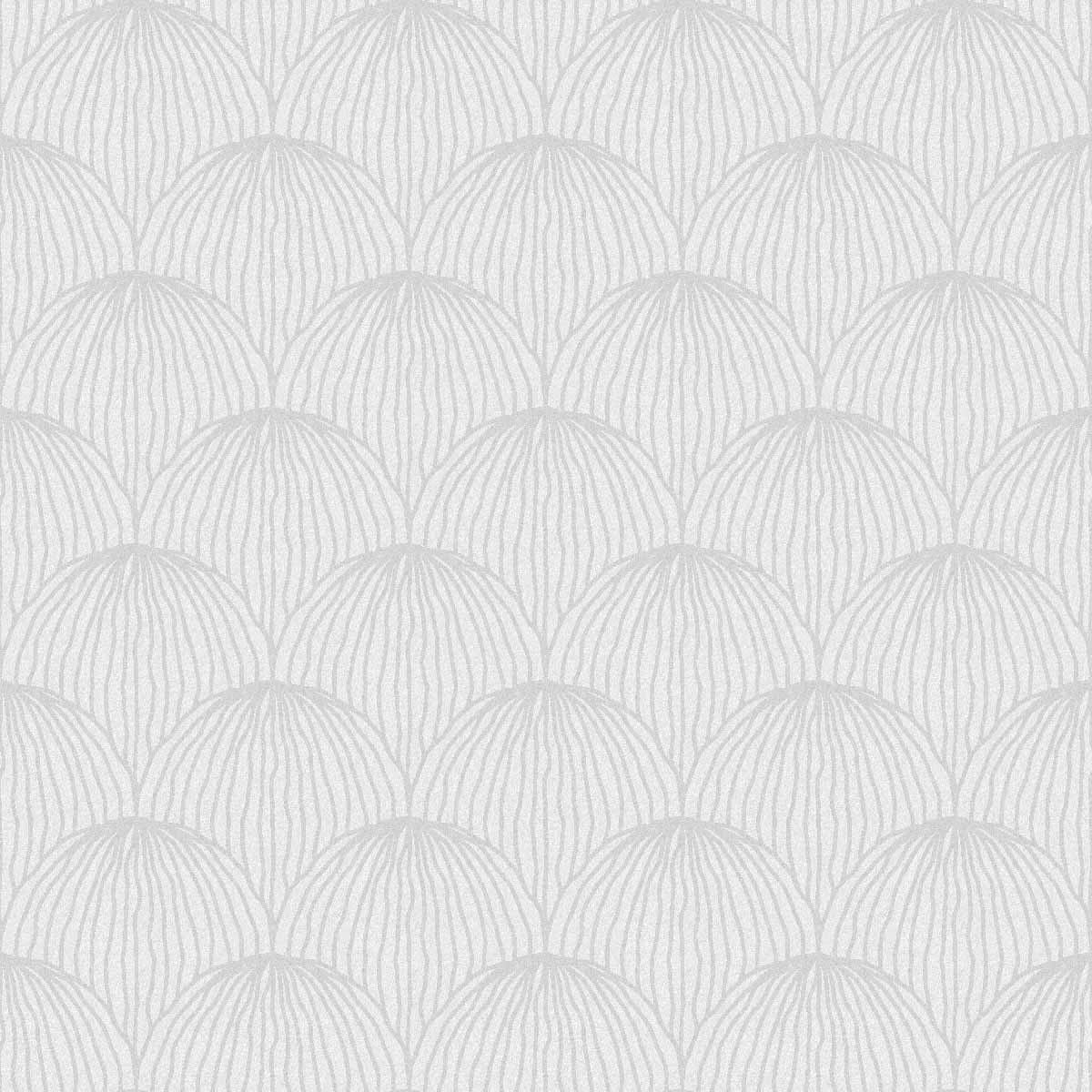 Japanese Scallop | White