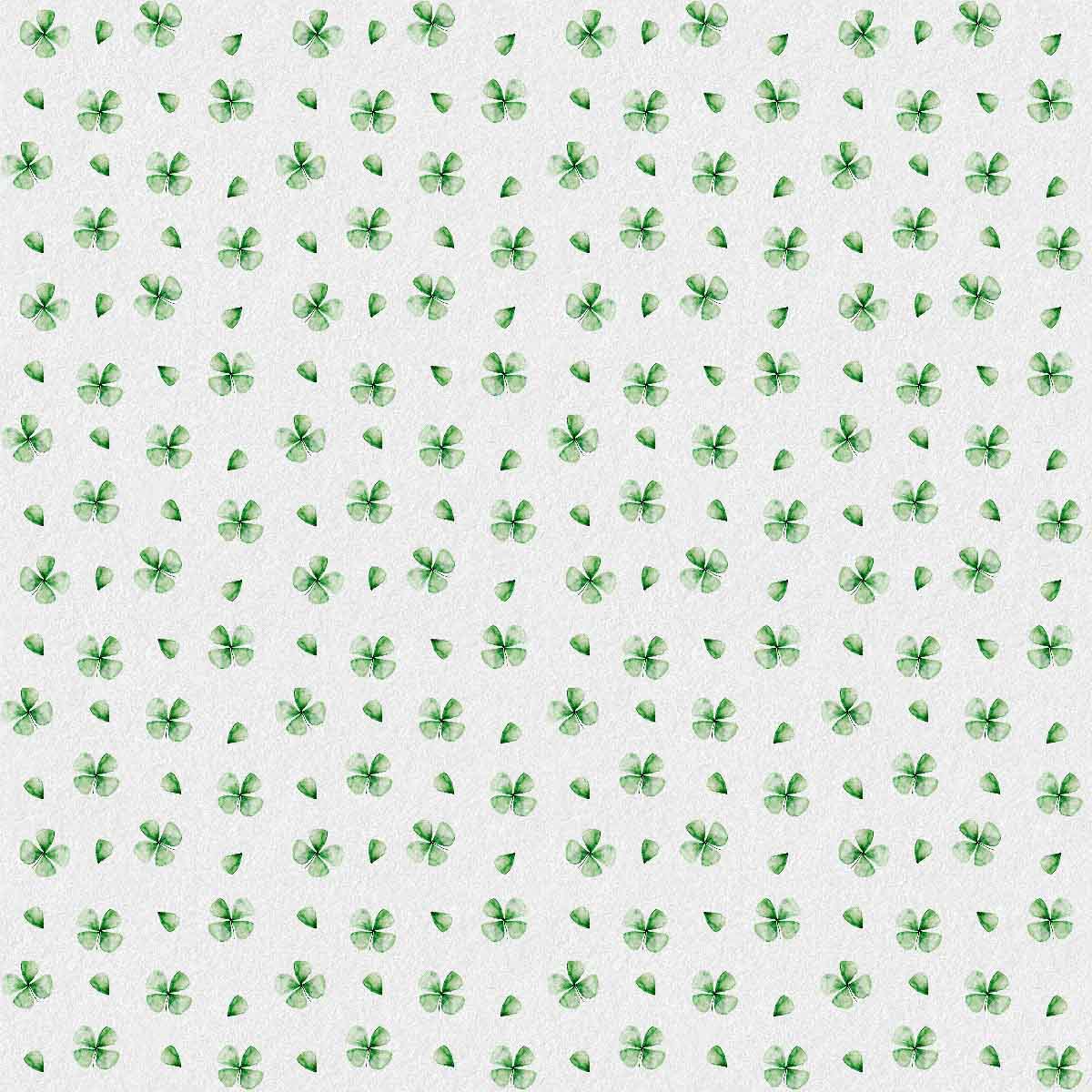 Lucky Clover | White