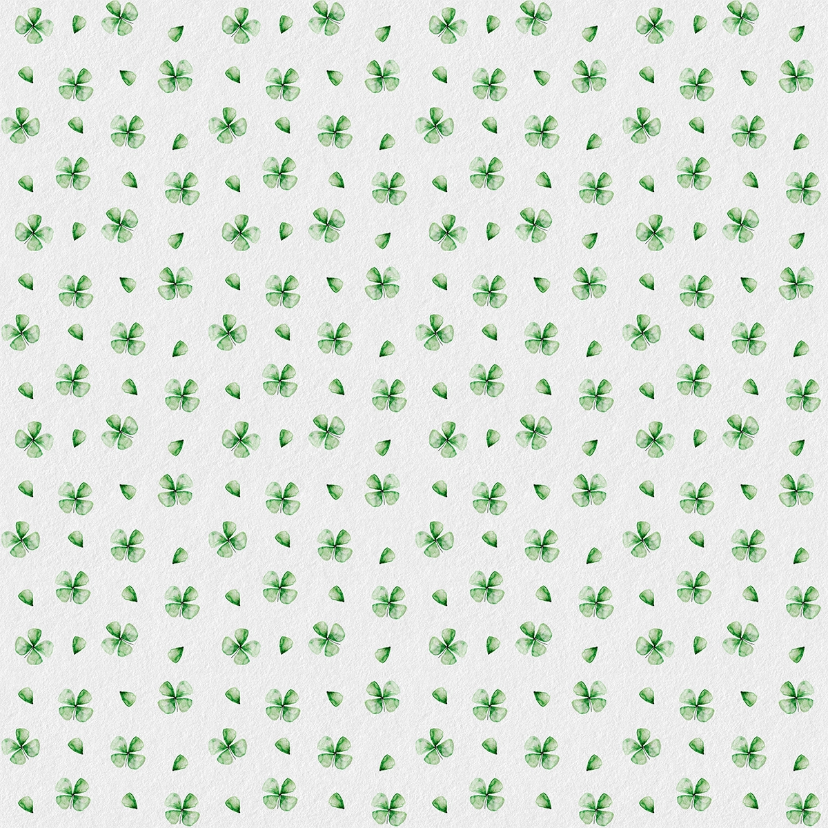 Lucky Clover | White