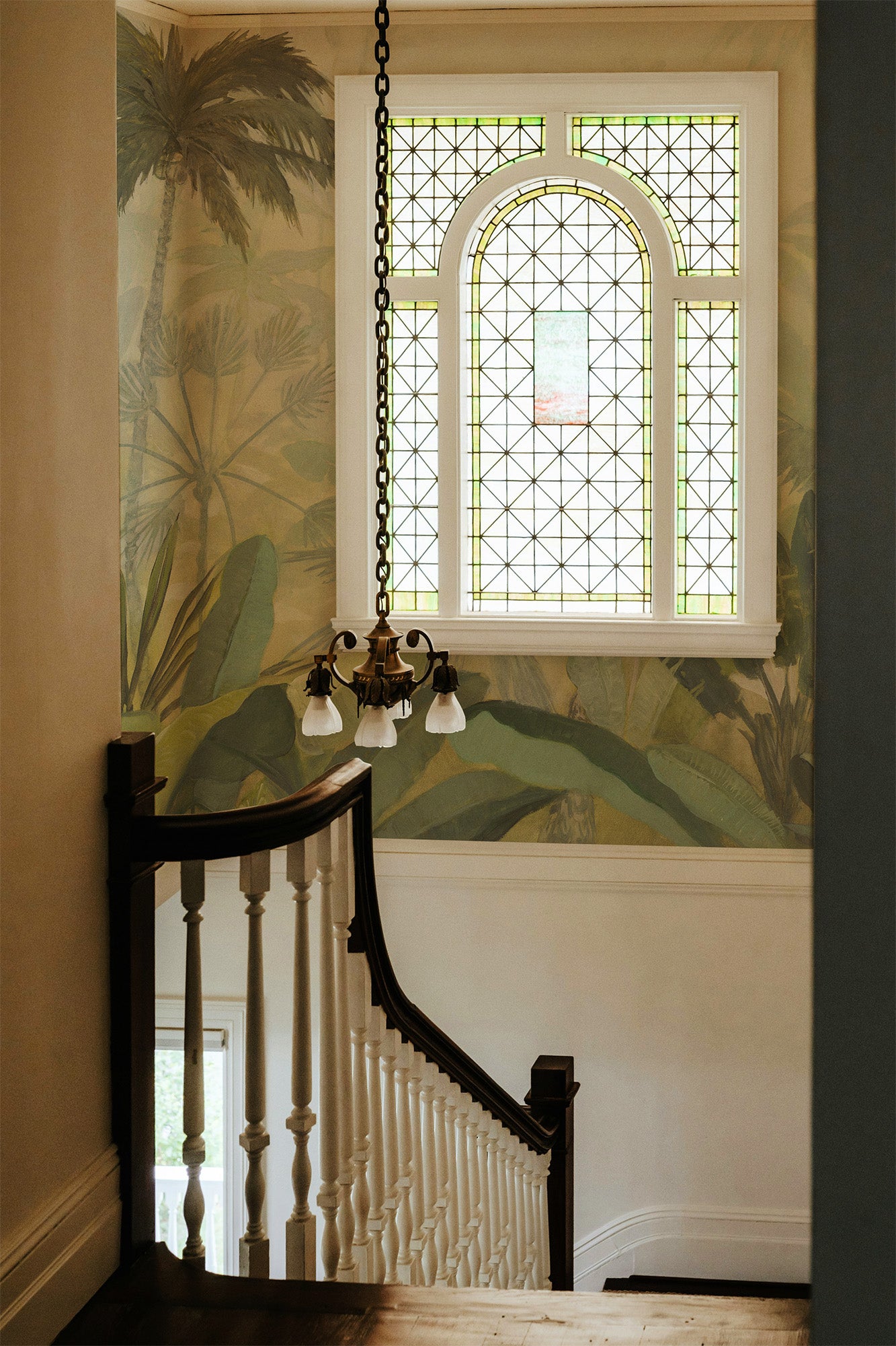 Misty Jungle Morning Mural