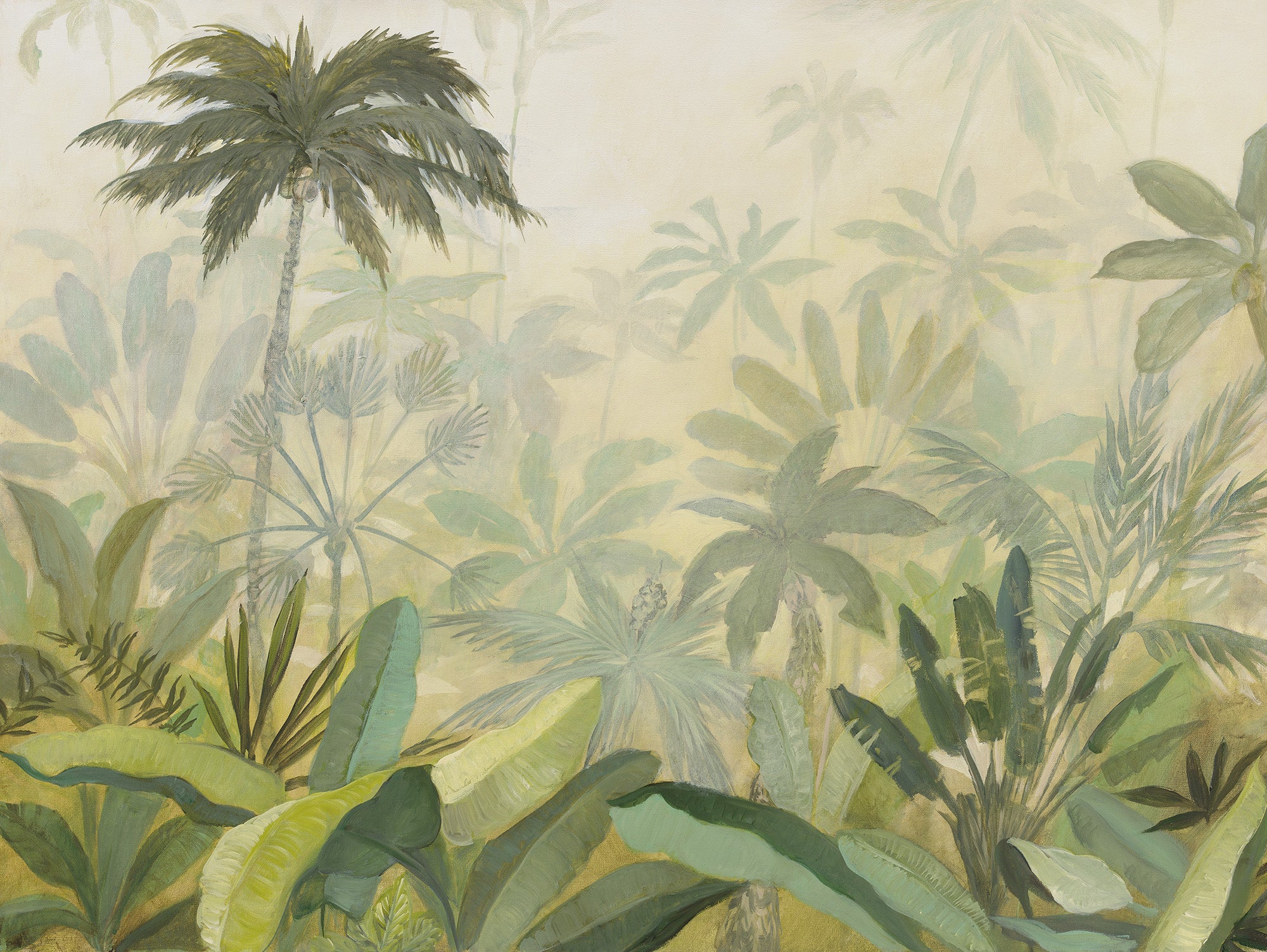 Misty Jungle Morning Mural