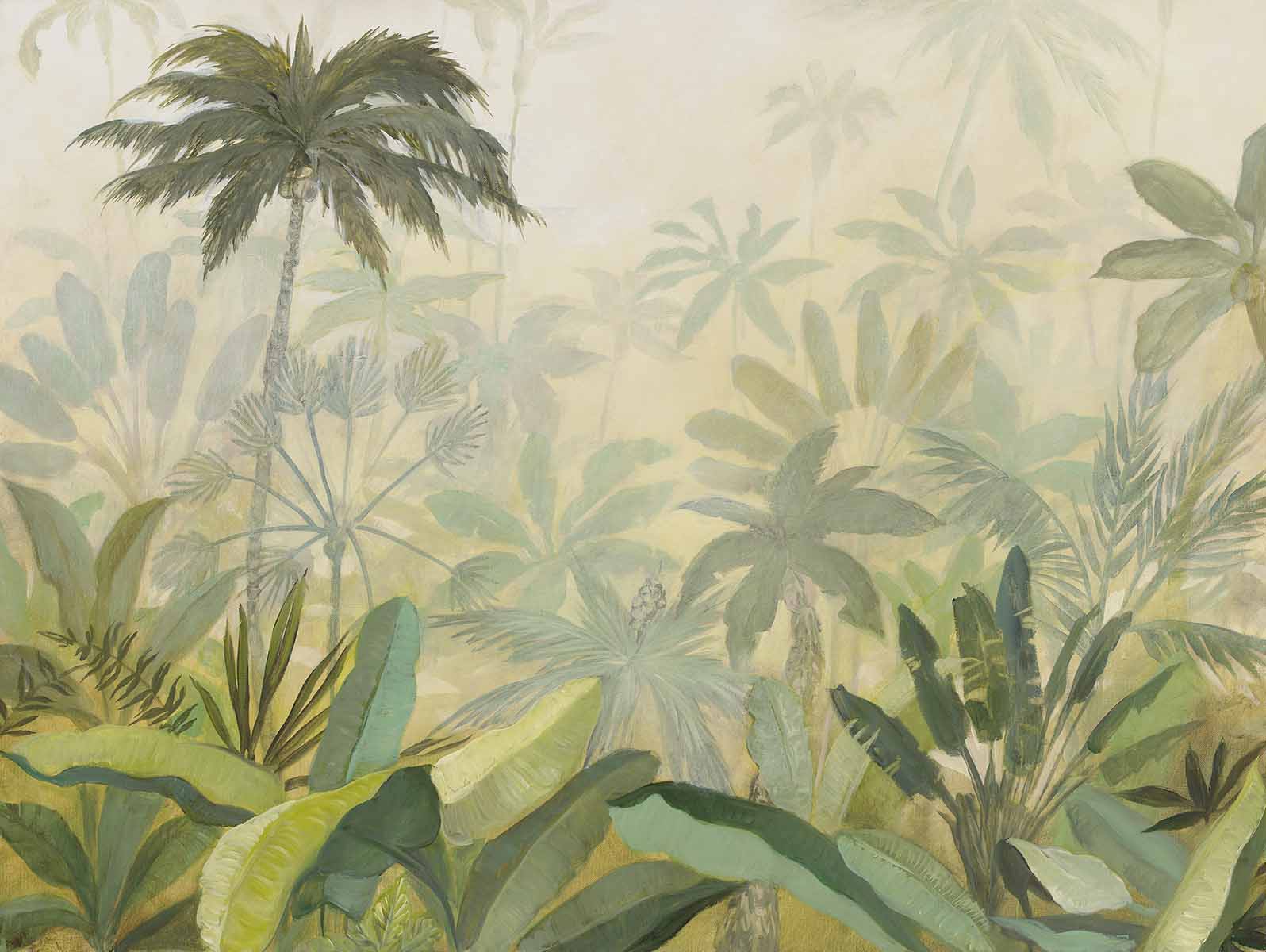 Misty Jungle | Morning