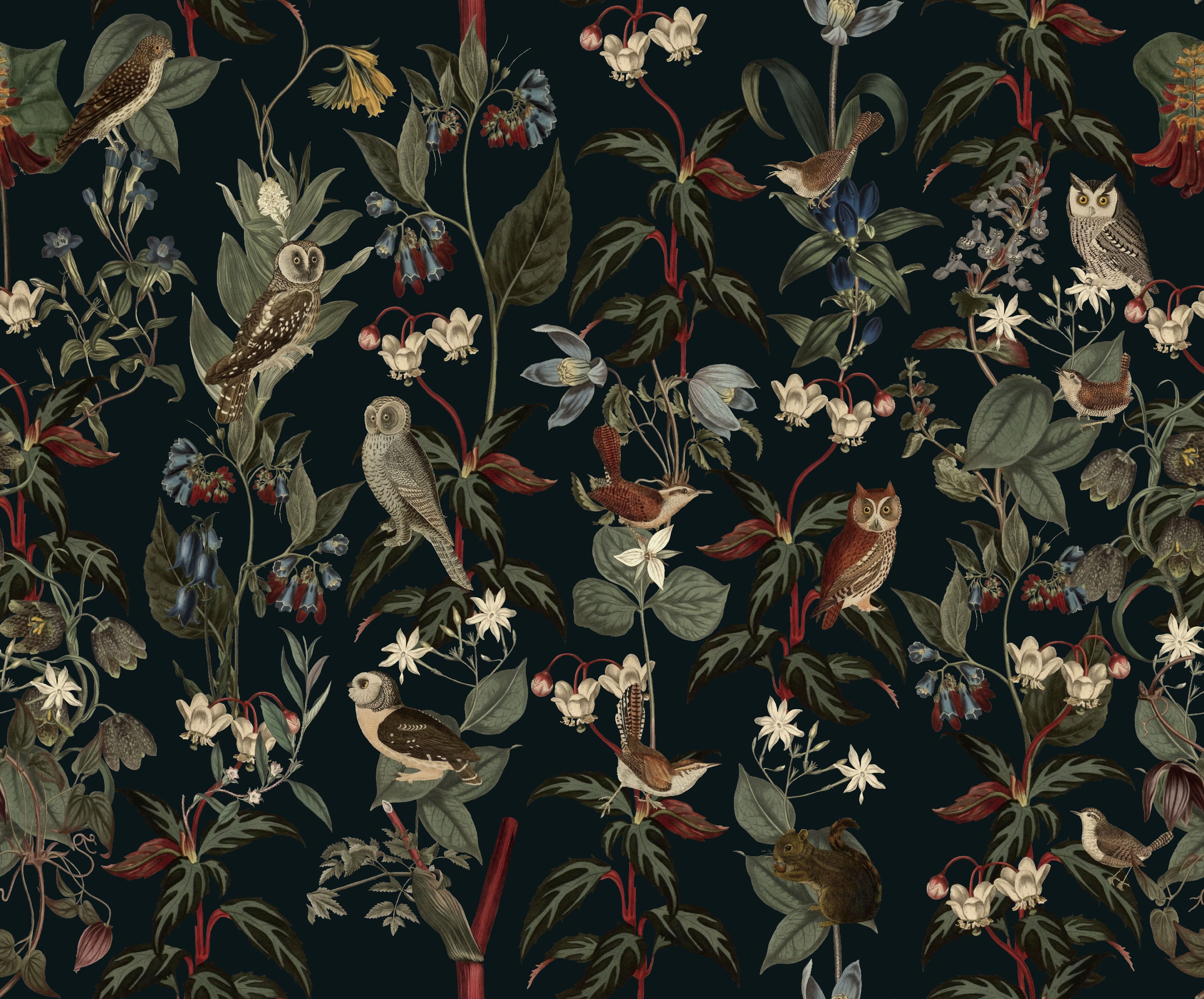 Nocturne Owls | Black