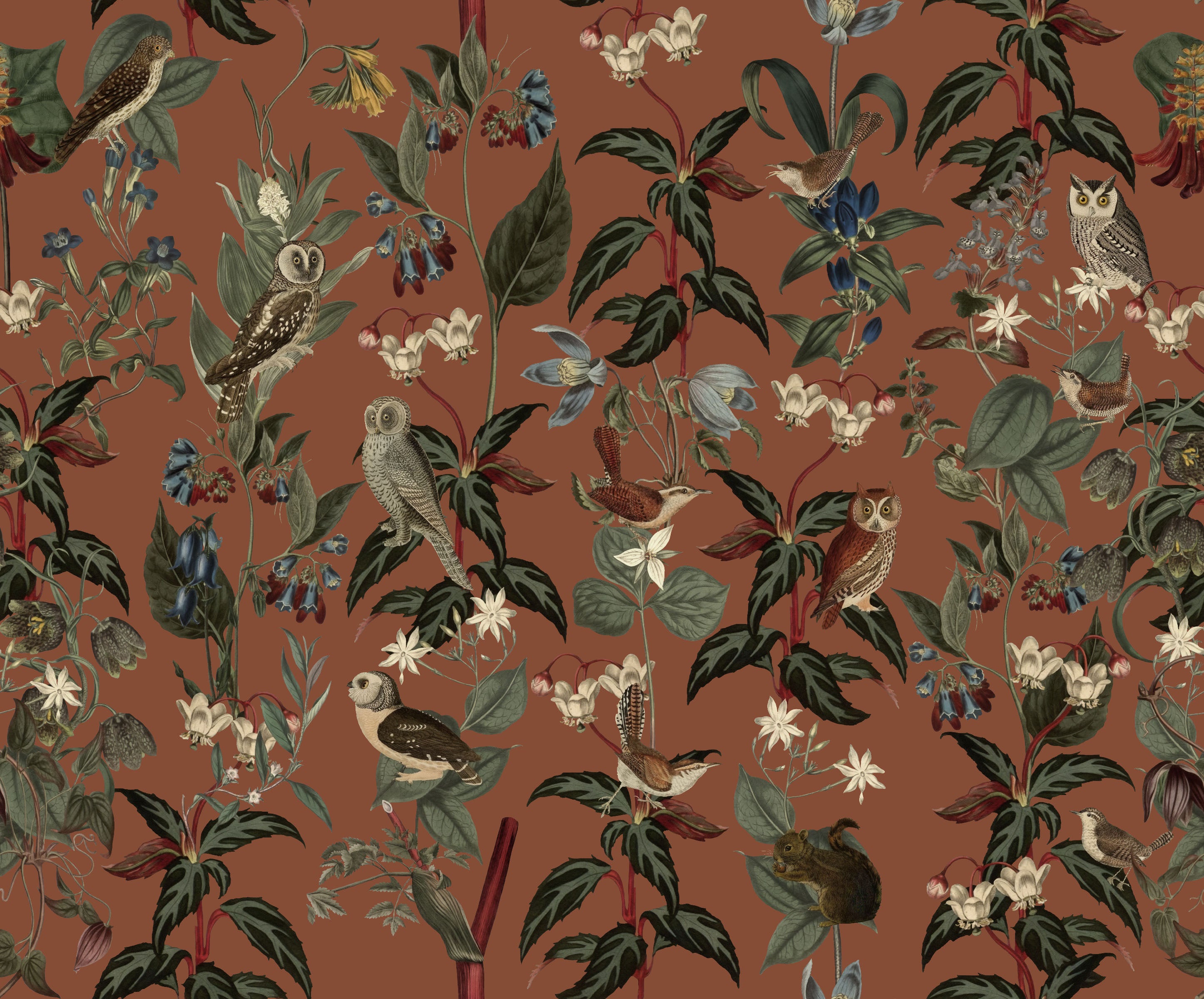 Nocturne Owls | Brown