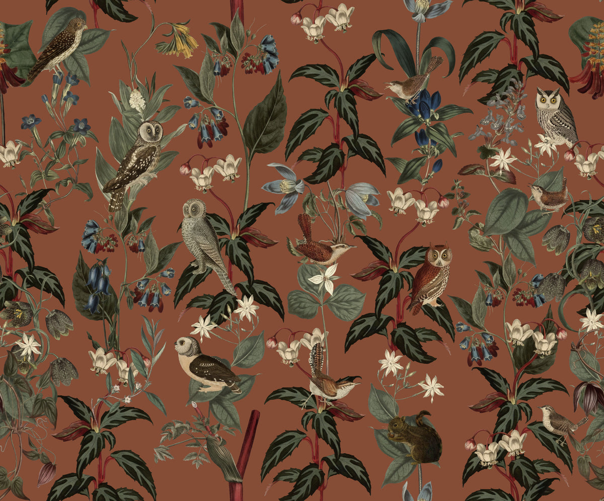 Nocturne Owls | Brown
