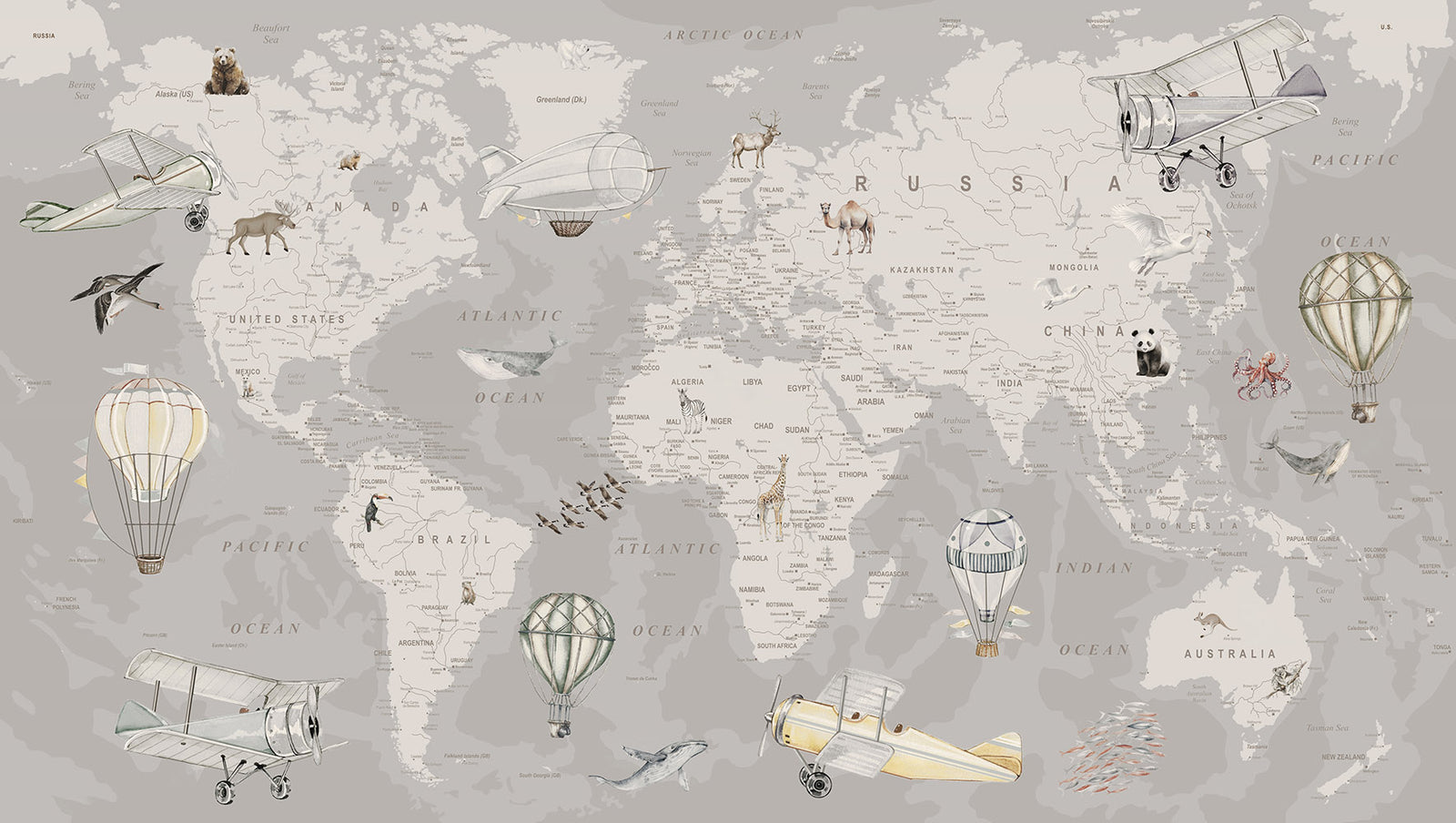 Explorer World Map | Gray
