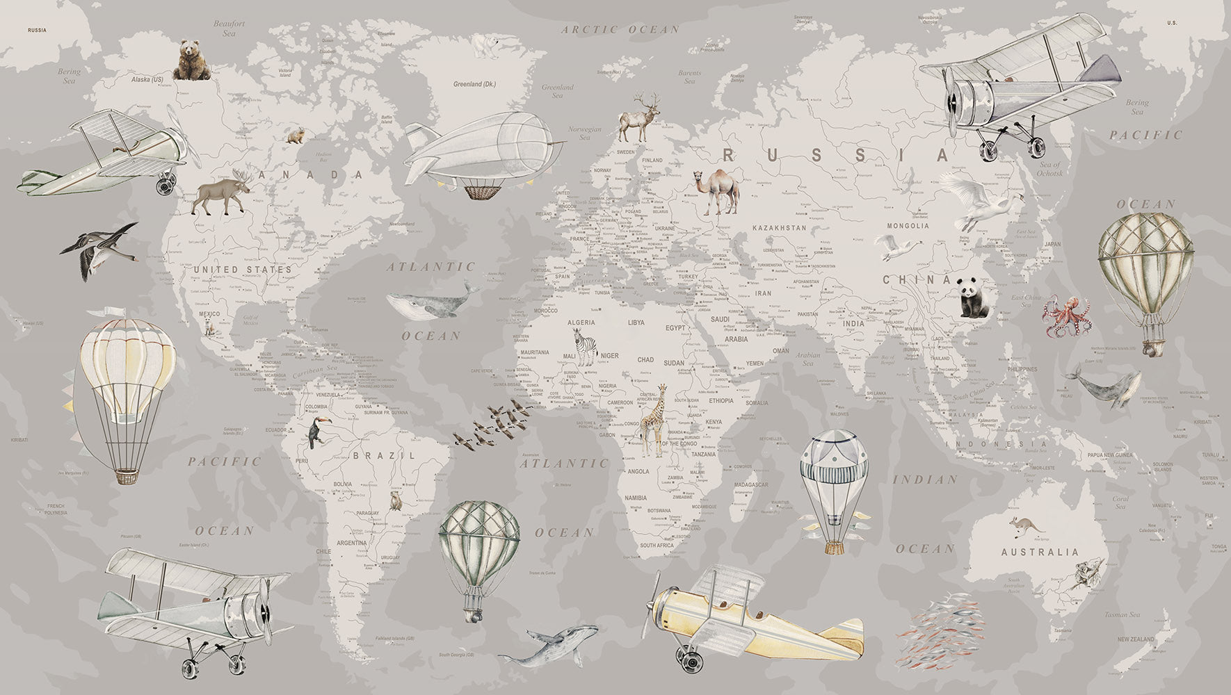 Explorer World Map | Gray
