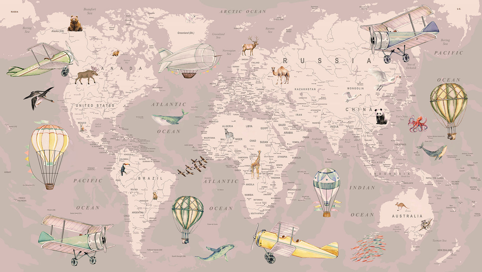 Explorer World Map | Pink