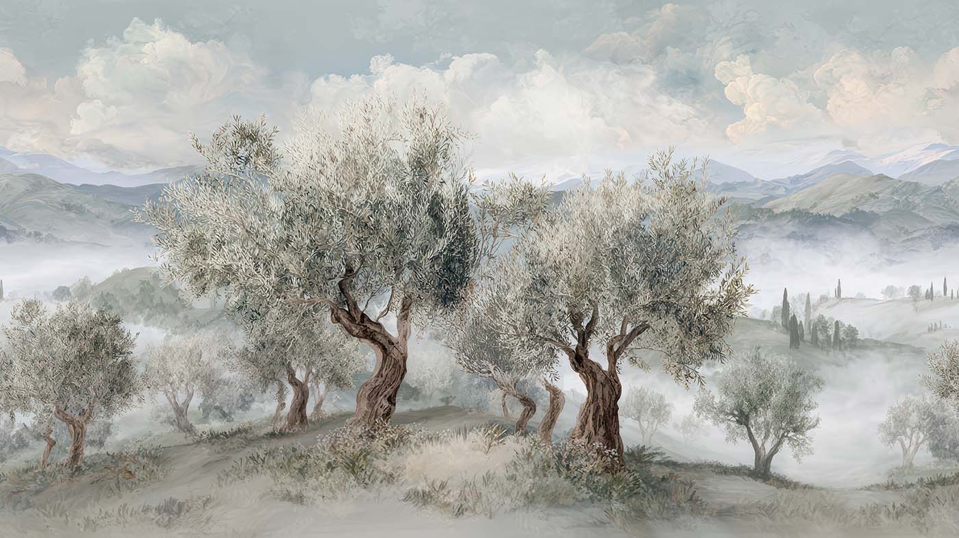 Olive Grove | Onwards