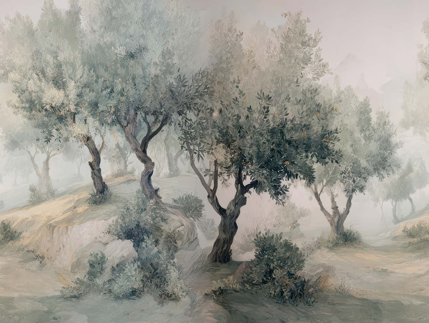 Olive Grove | Path