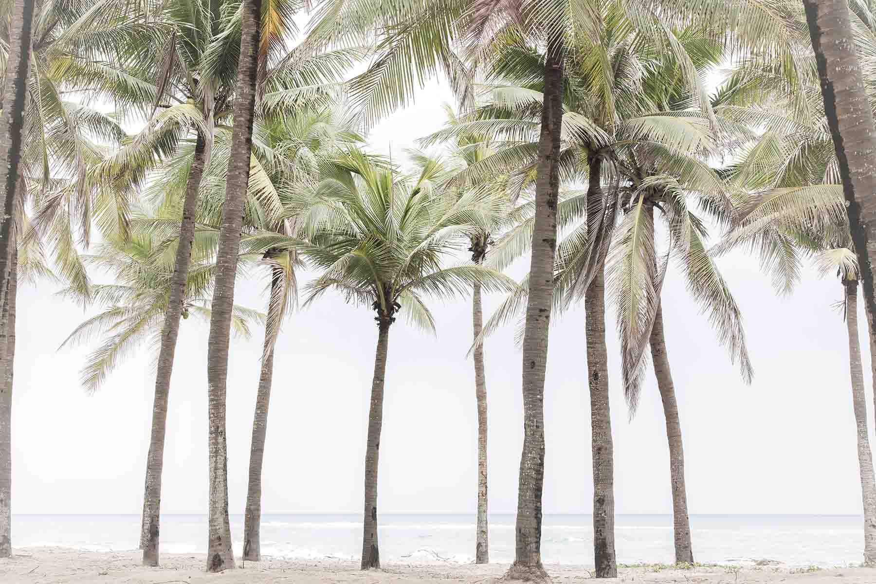 Palm Beach