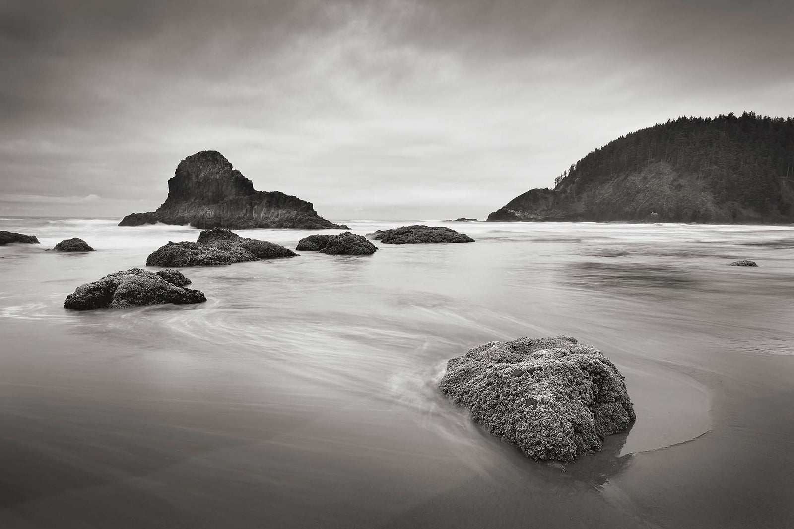 Rocky Ocean