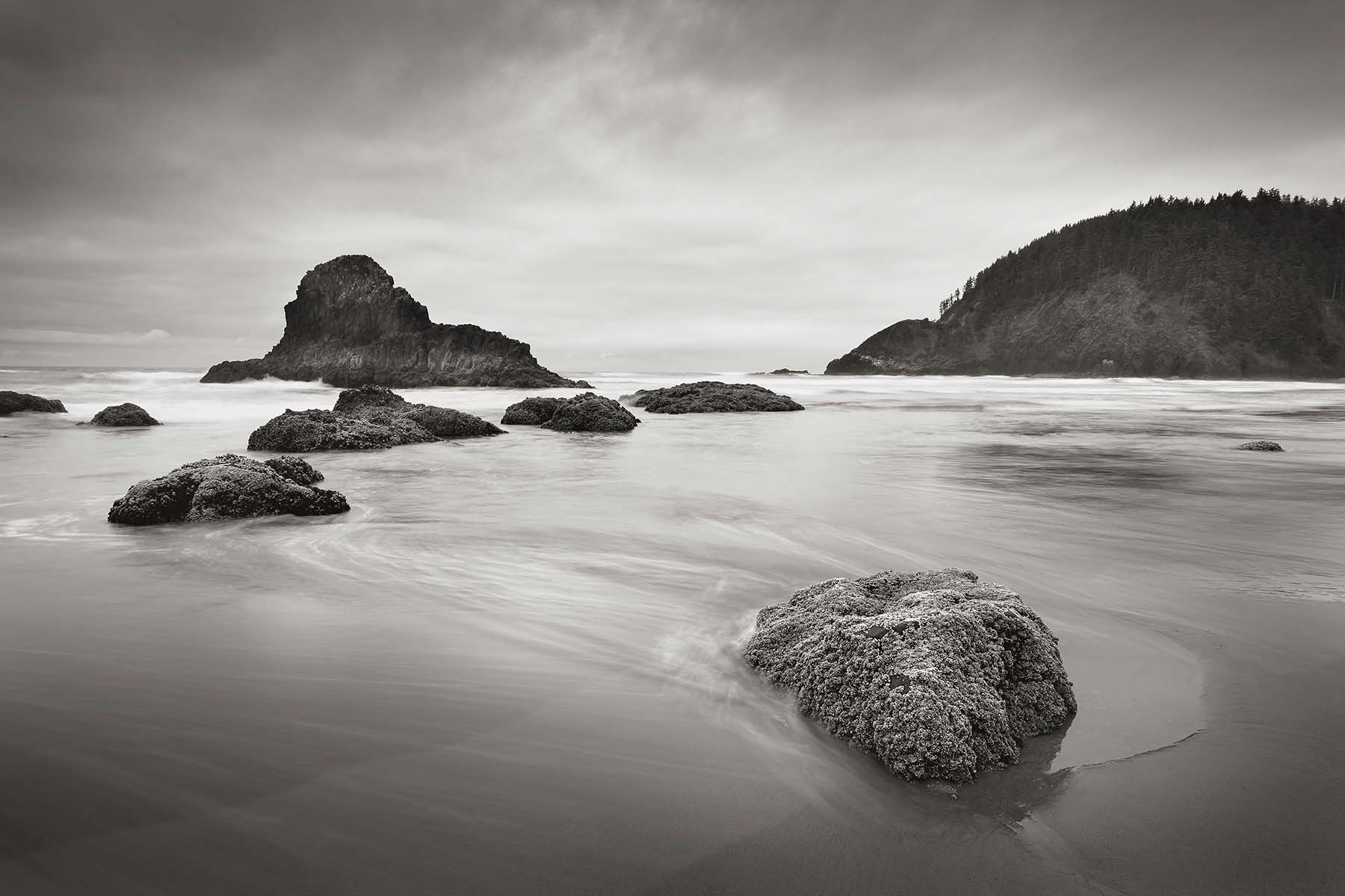 Rocky Ocean