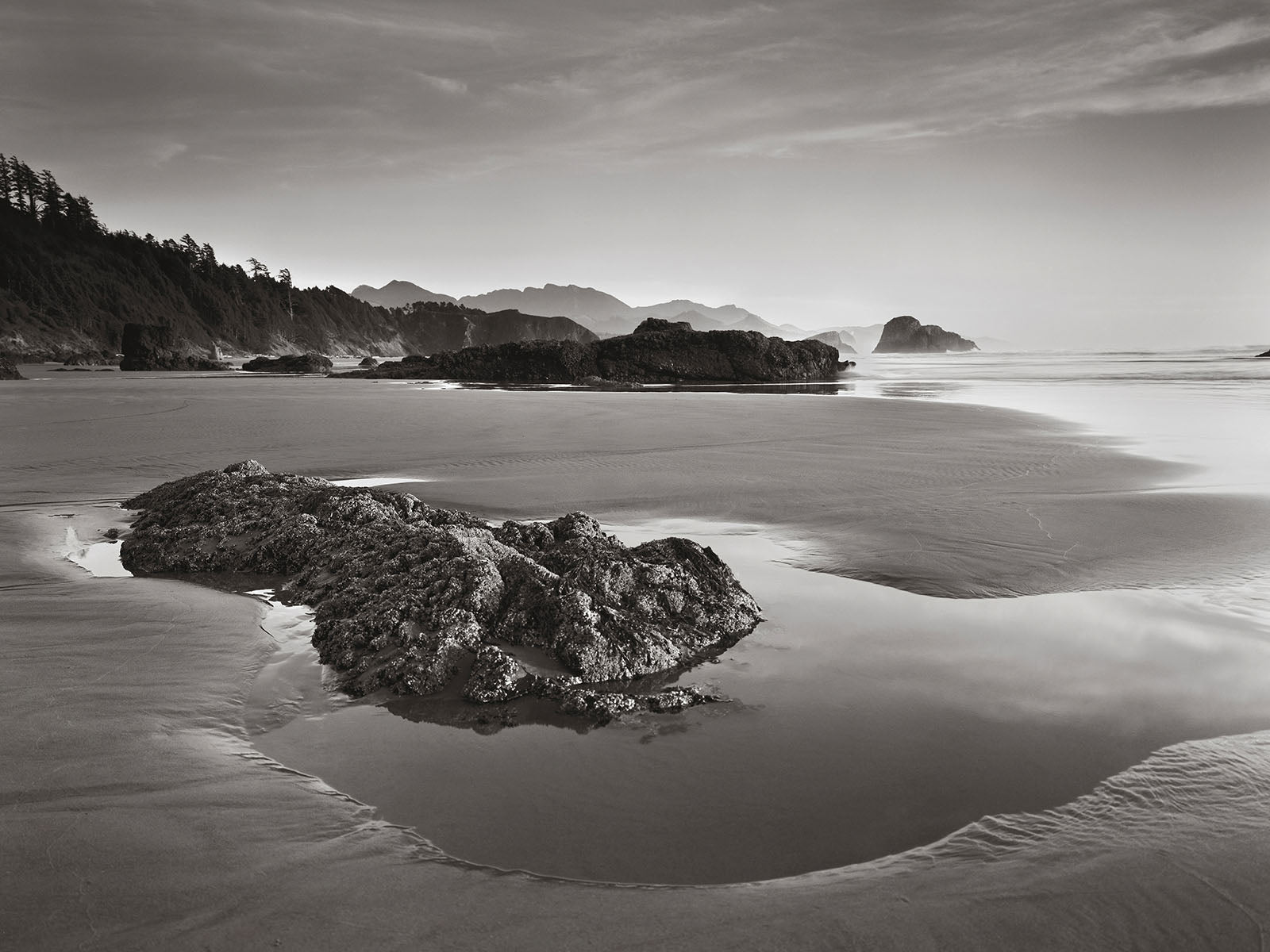 Rocky Shoreline