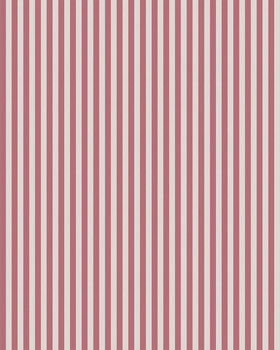 Pinstripes | Blush