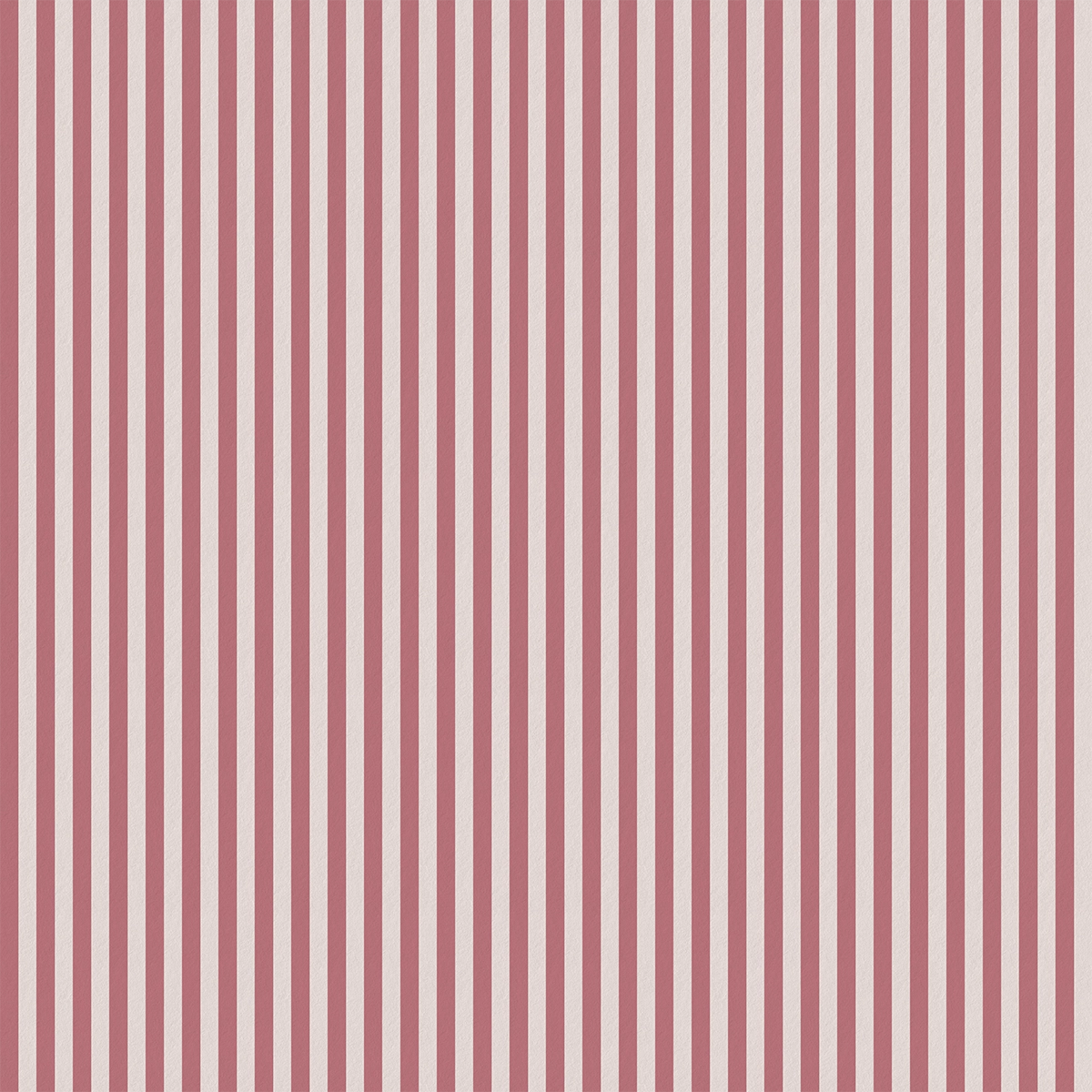Pinstripes | Blush