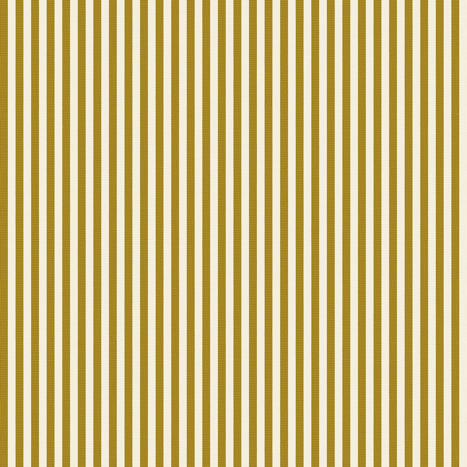Pinstripes | Mustard