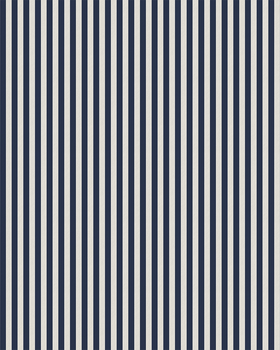 Pinstripes | Navy