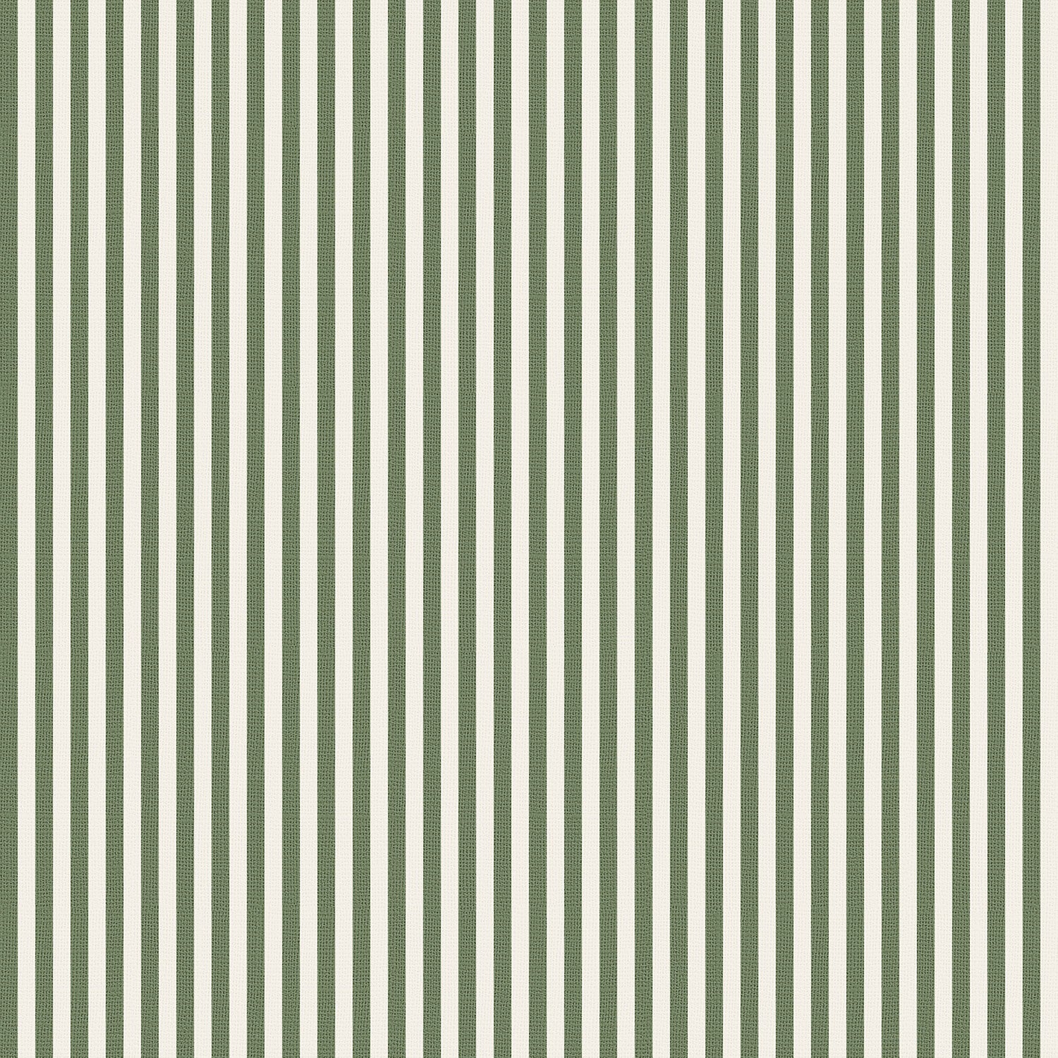 Pinstripes | Sage