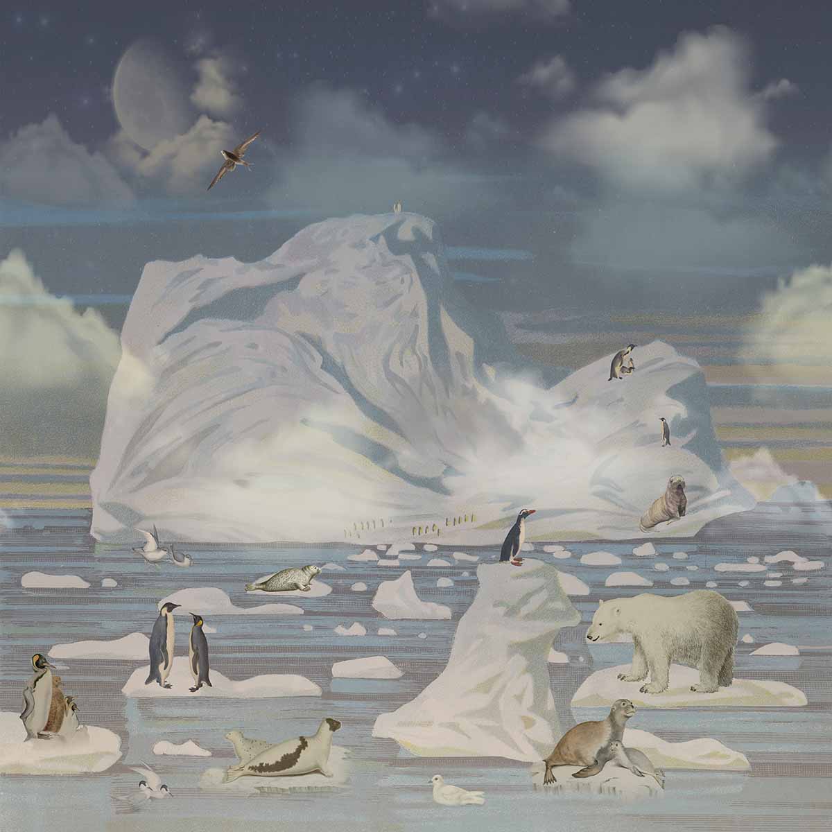 Polar Dream