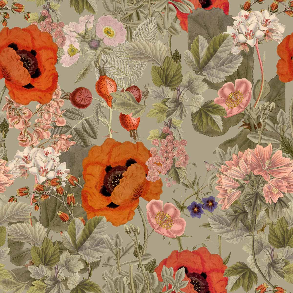 Poppy Garden | Sage Green