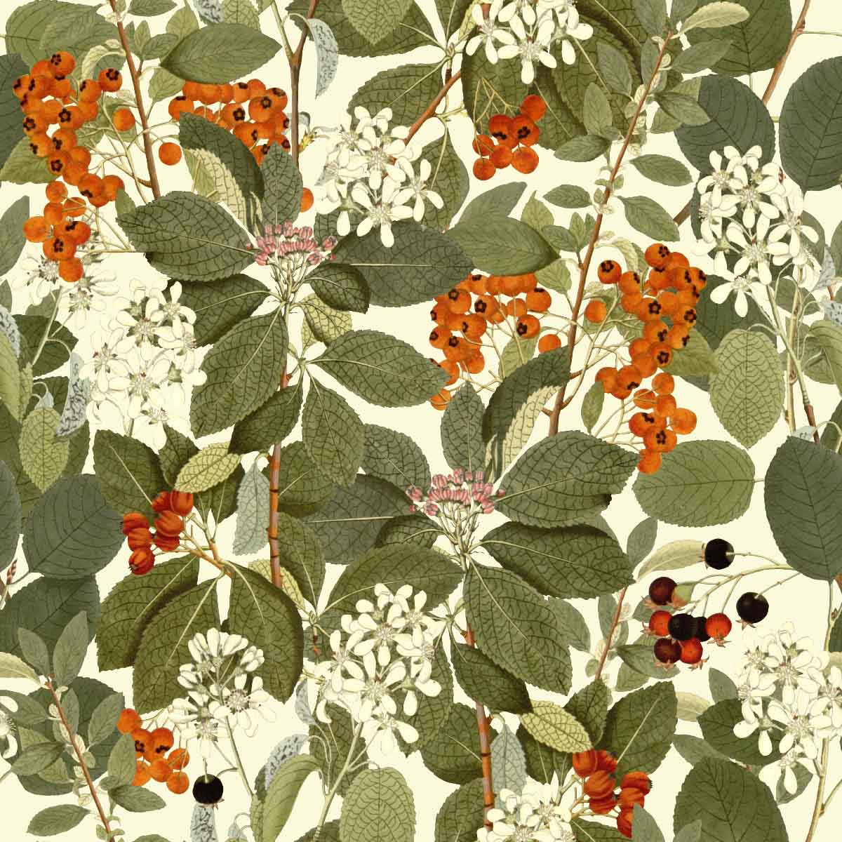 Rowanberry | Light