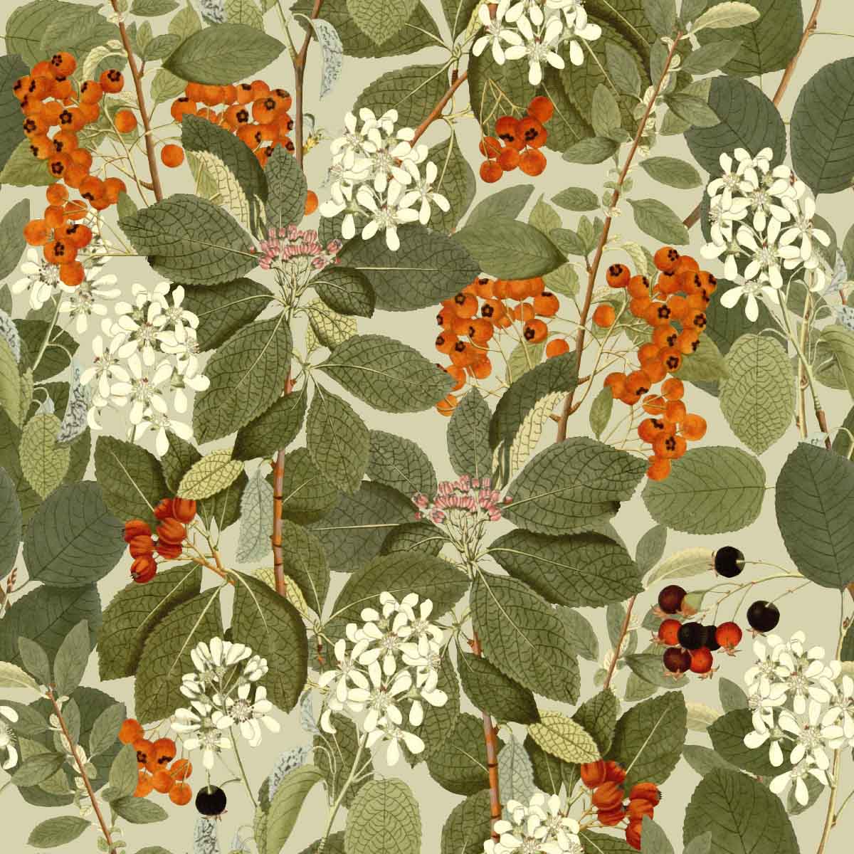 Rowanberry | Soft