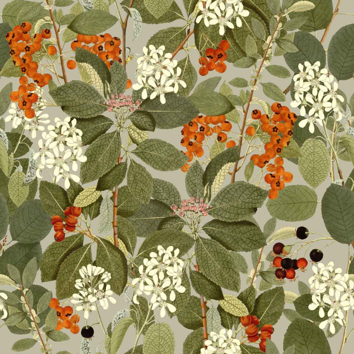 Rowanberry | Balance