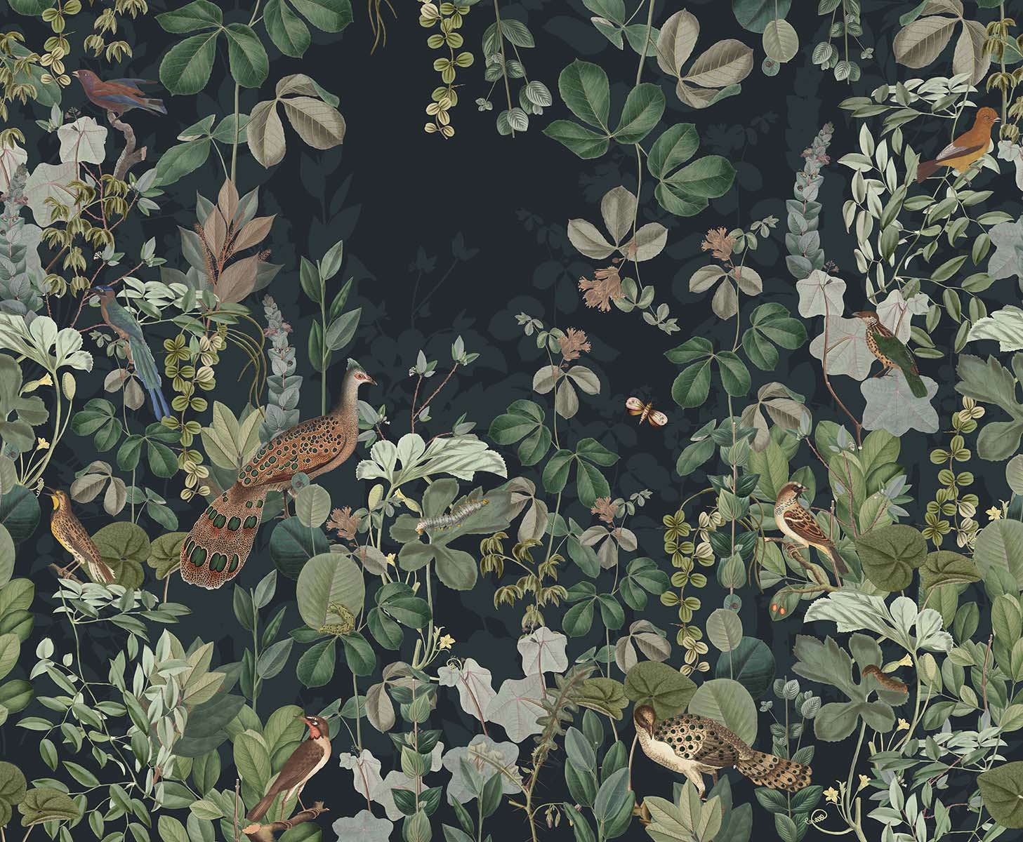 Secret Garden | Midnight Blue
