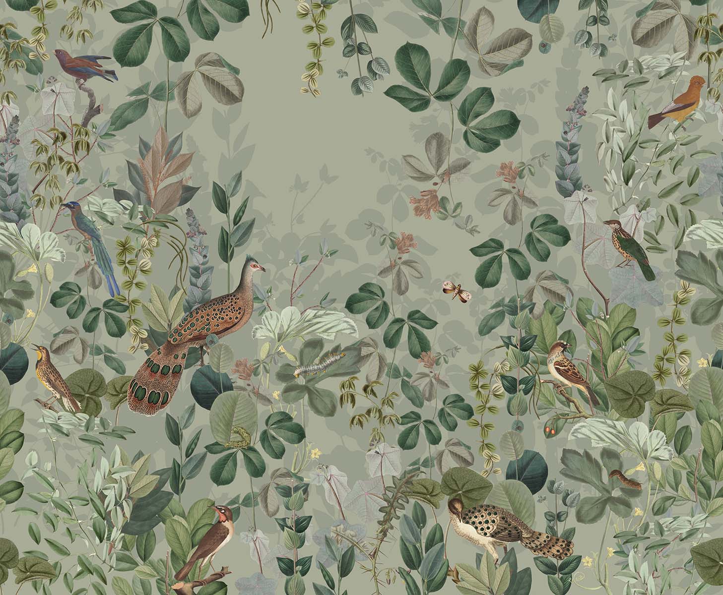 Secret Garden | Sage Green