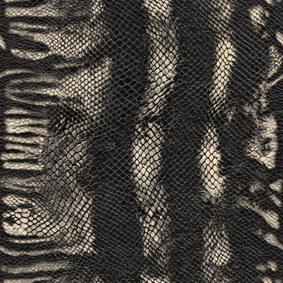 Snake Skin | Black